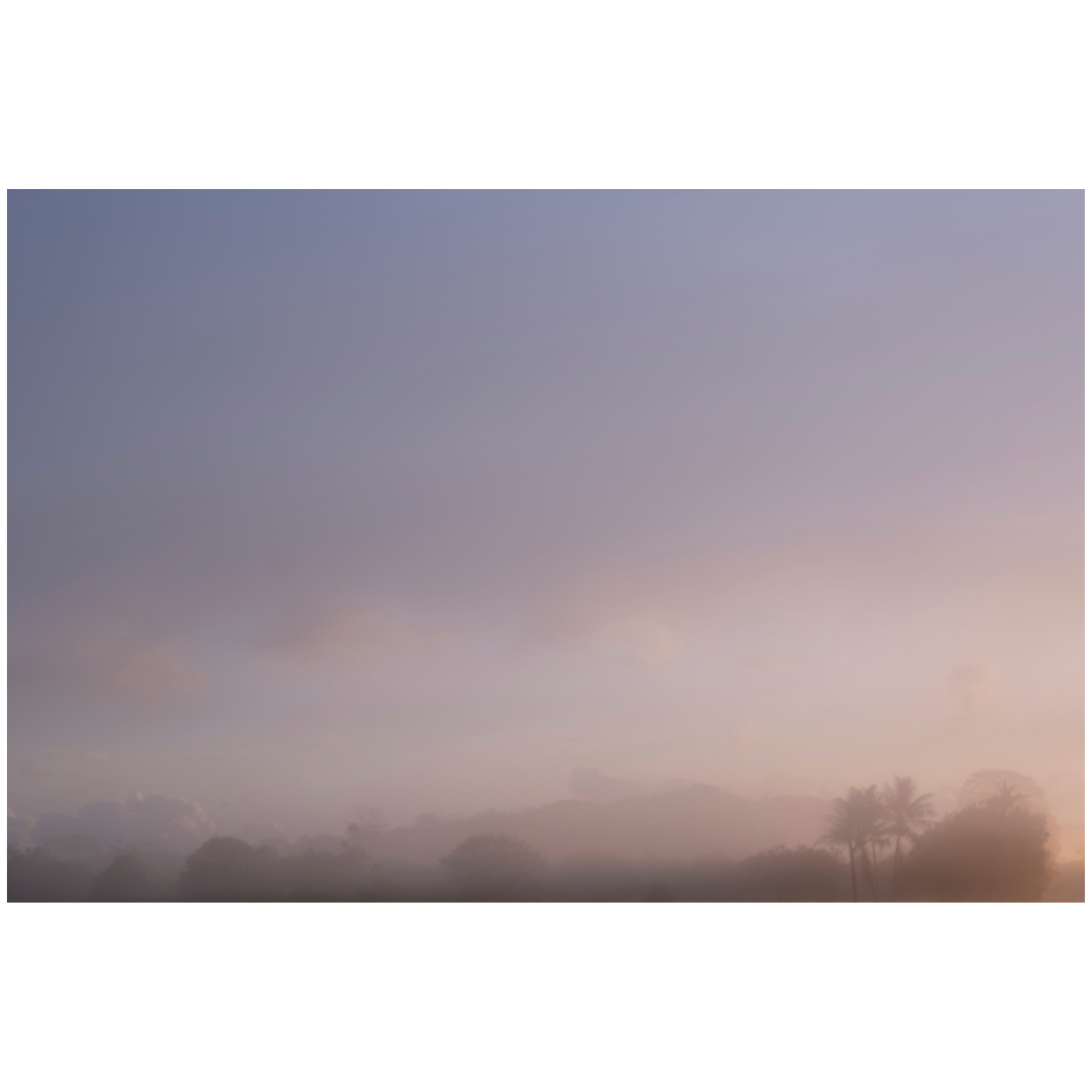 Caroline Cameron — Far North Queensland, Etty Bay 06 28 59 am — Limited Edition Print