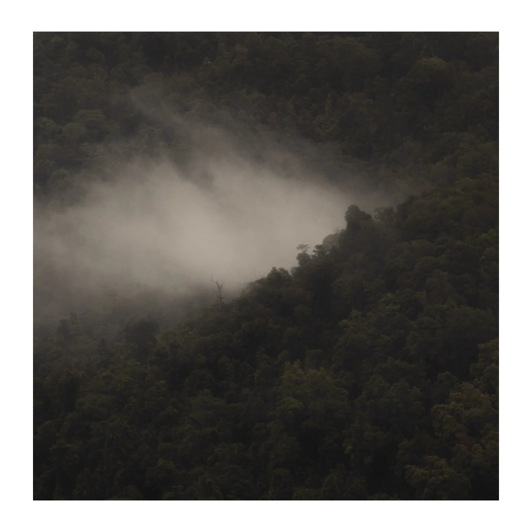 Caroline Cameron — Far North Queensland 17 06 32 pm — Limited Edition Print