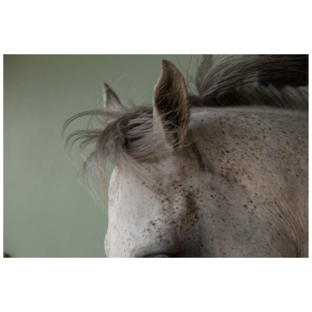 Susan Watson Knight and Trevor Mein — Flight.png