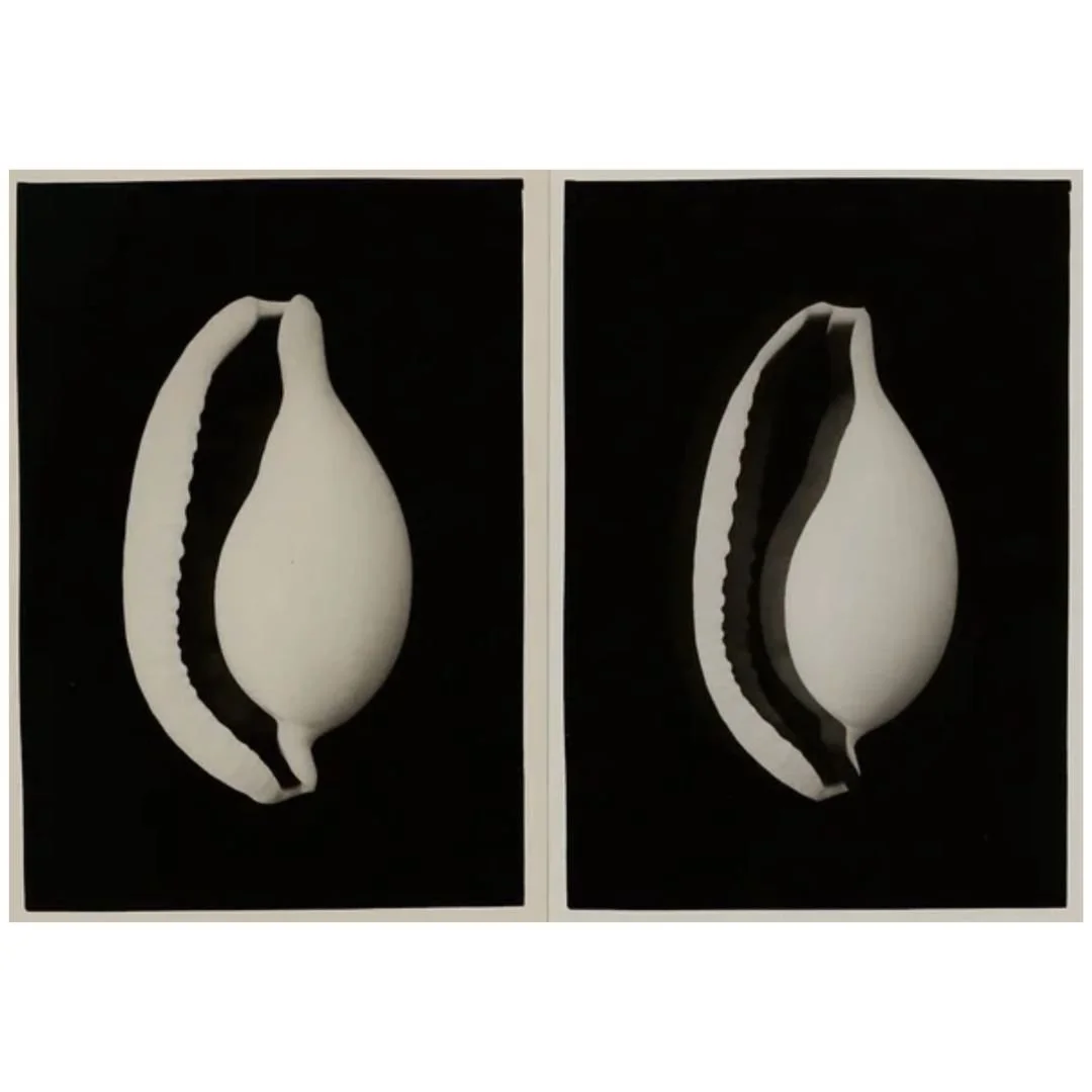 Ming Nomchong — Did I Just Imagine You (2025) — Diptych Hand-Printed Silver Gelatin Prints on Fibre-Based Baryta Paper — 38.4 cm x 45.7 cm (Framed Size)