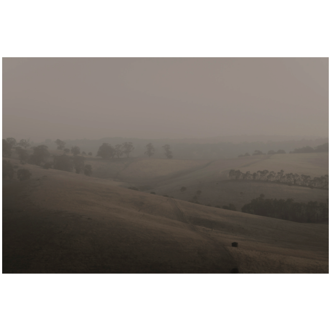 Caroline Cameron — Untitled. 09. V. — Limited Edition Print