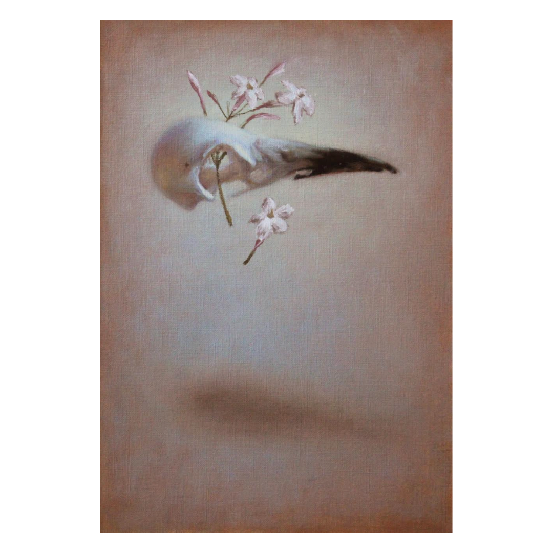 Louise Feneley — The Magpie's Tale.png