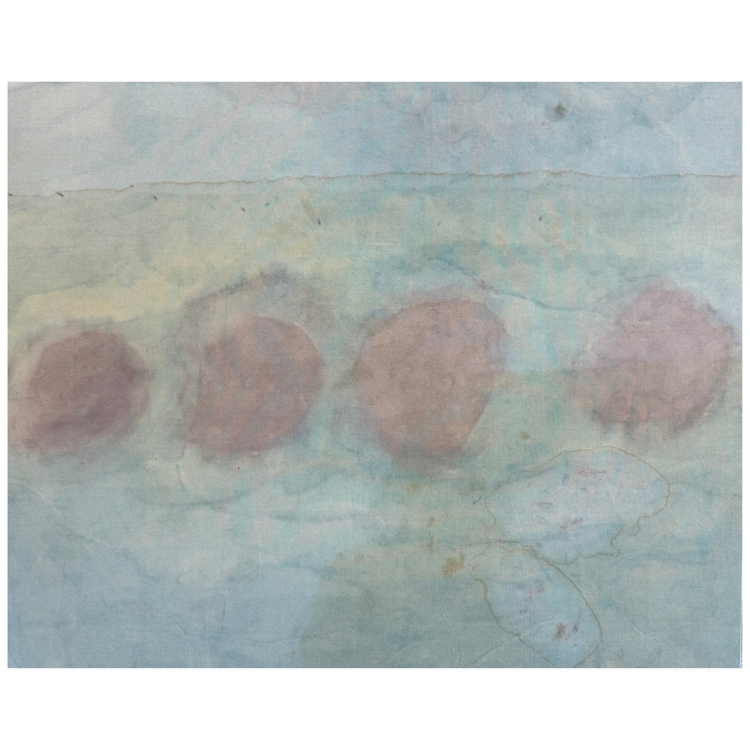 Emily Ebbs — And Then There Were Four (2025) — Acrylic, Eucalyptus Leaf Dye, Paterson's Curse Flower and Catsear on Drop Sheet — 121 cm x 150 cm