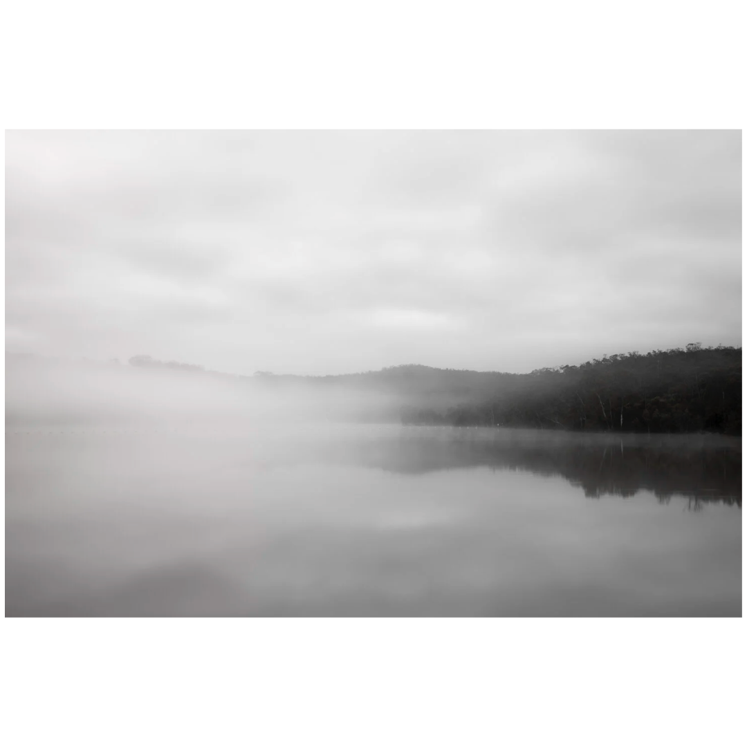 Caroline Cameron — Warren Valley — Limited Edition Print