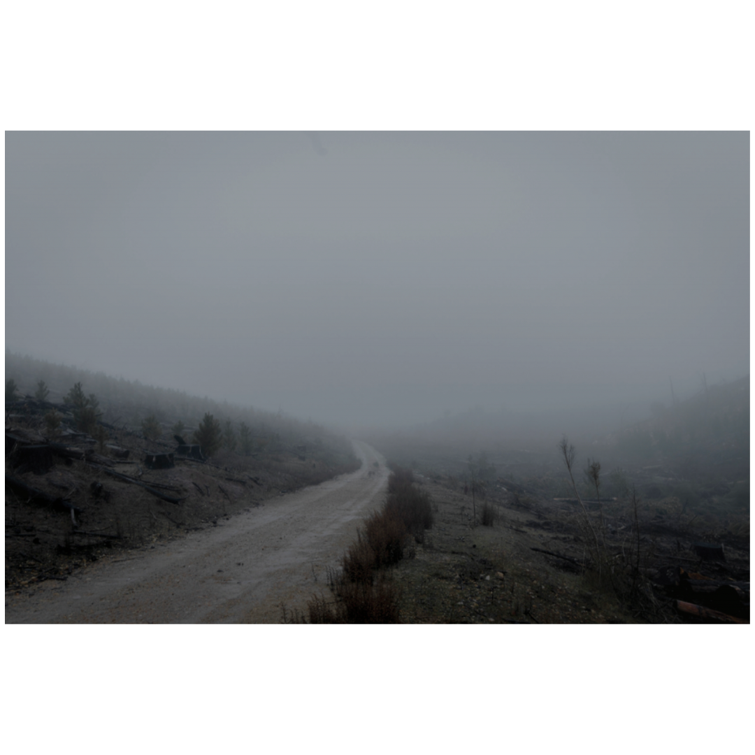 Caroline Cameron — Untitled. 06. V. — Limited Edition Print