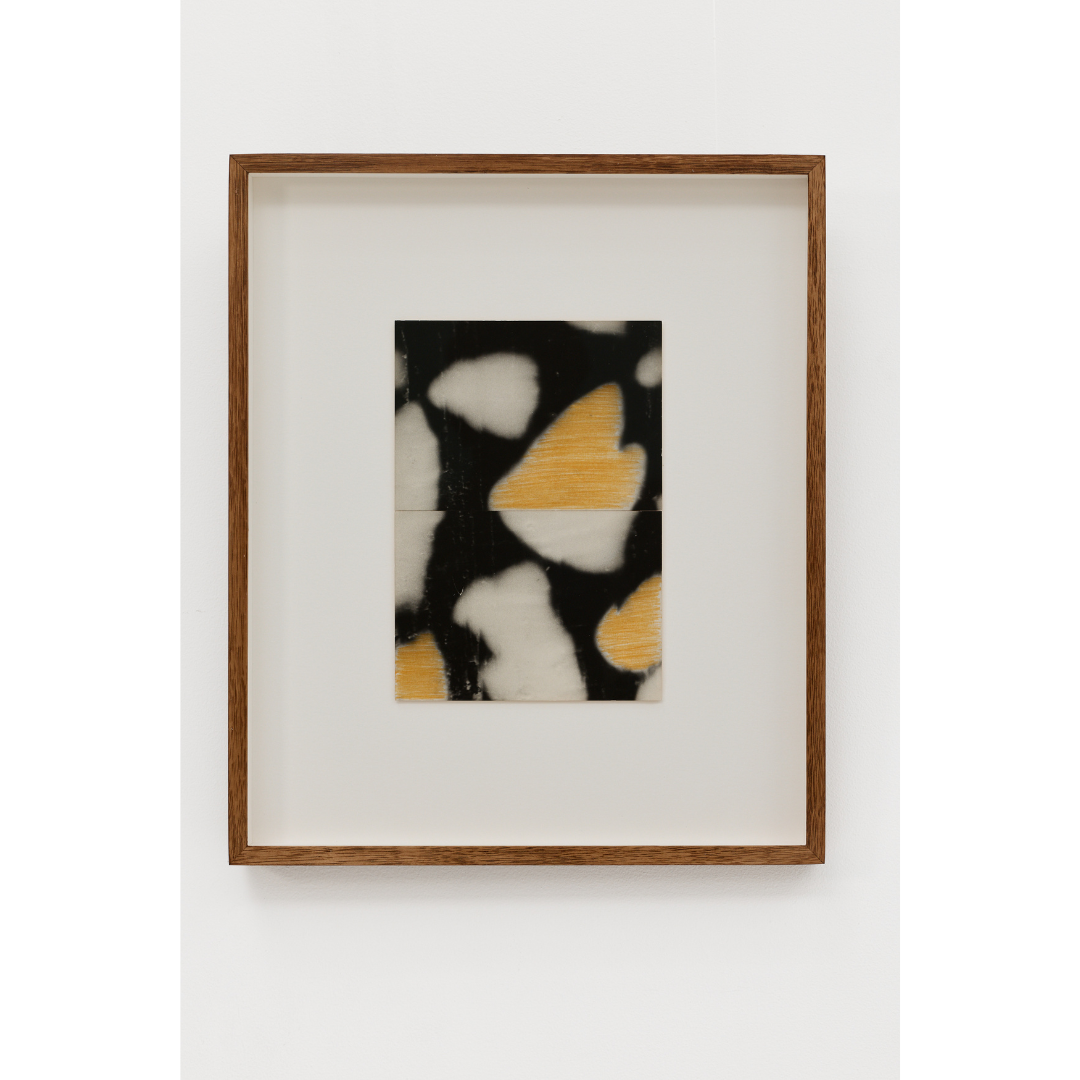 Ming Nomchong — Yellow Submarine (2025).png