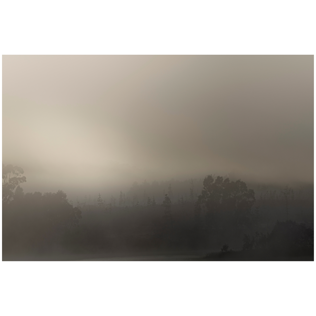 Caroline Cameron — Adelaide Hills 08 49 10 am — Limited Edition Print