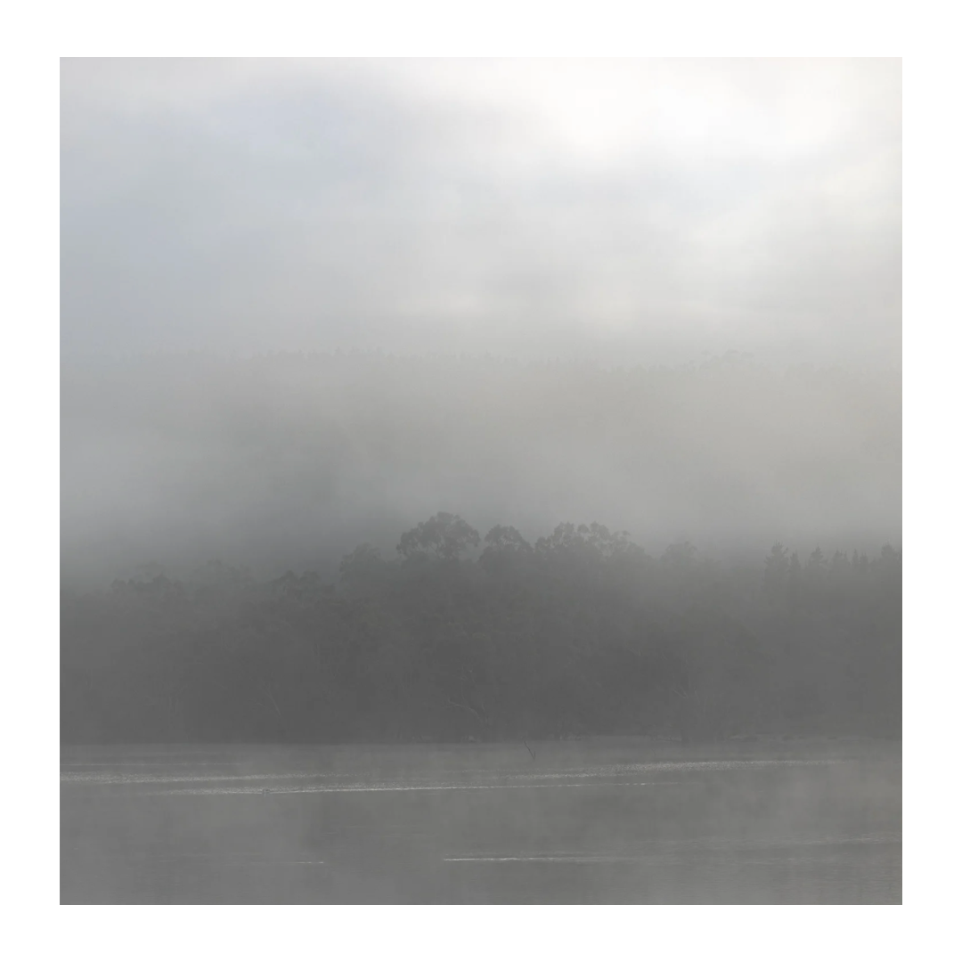 Caroline Cameron — Adelaide Hills 08 12 20 am — Limited Edition Print