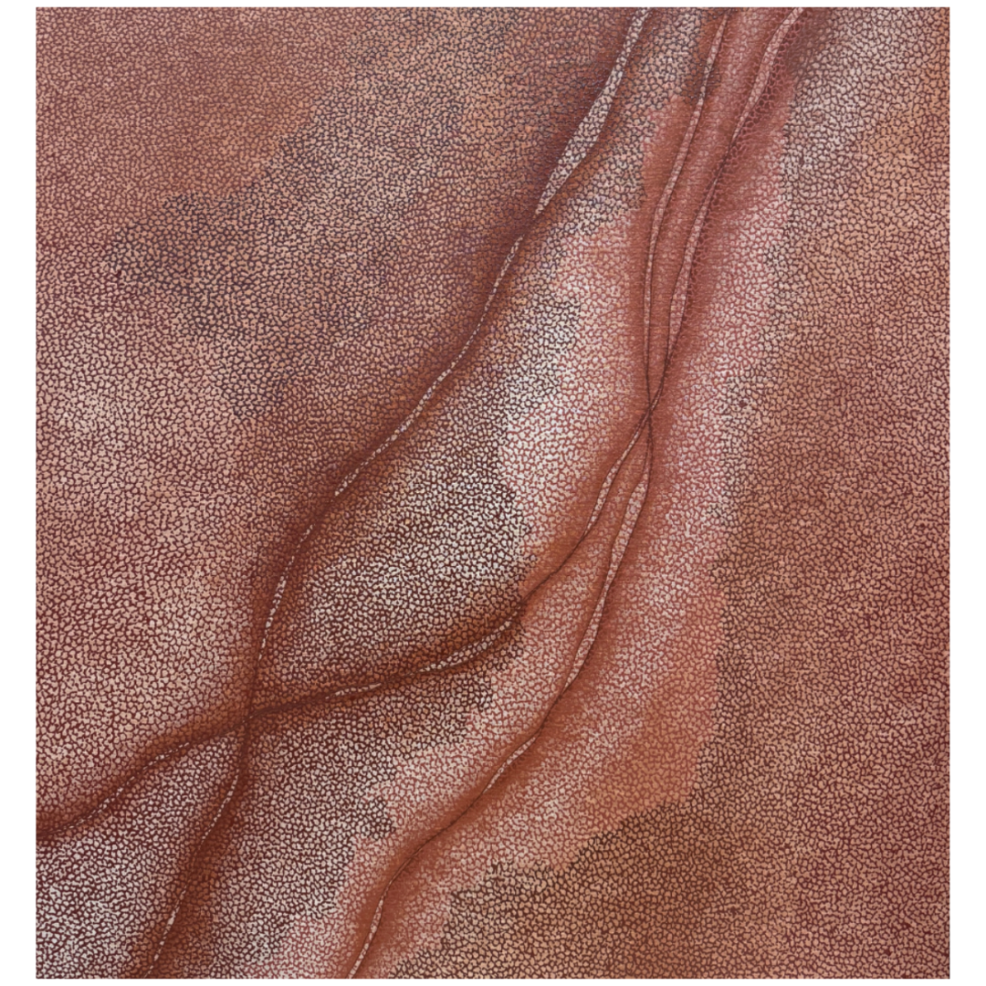 Hannah Lange — Ochre Coastline (2026) — Acrylic on Cotton Canvas — 96.5 cm x 90 cm