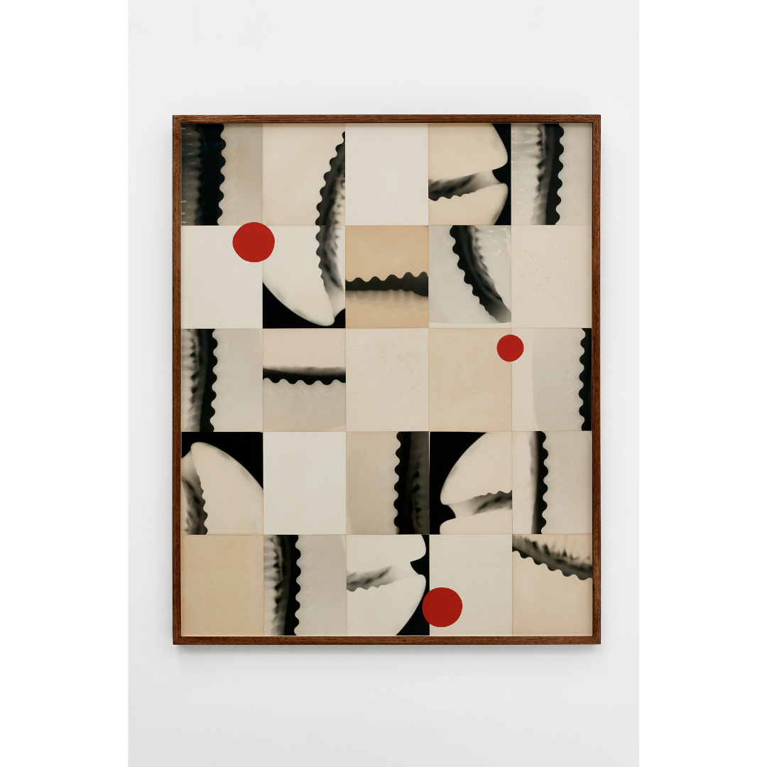 Ming Nomchong — Curvatours (2025).png