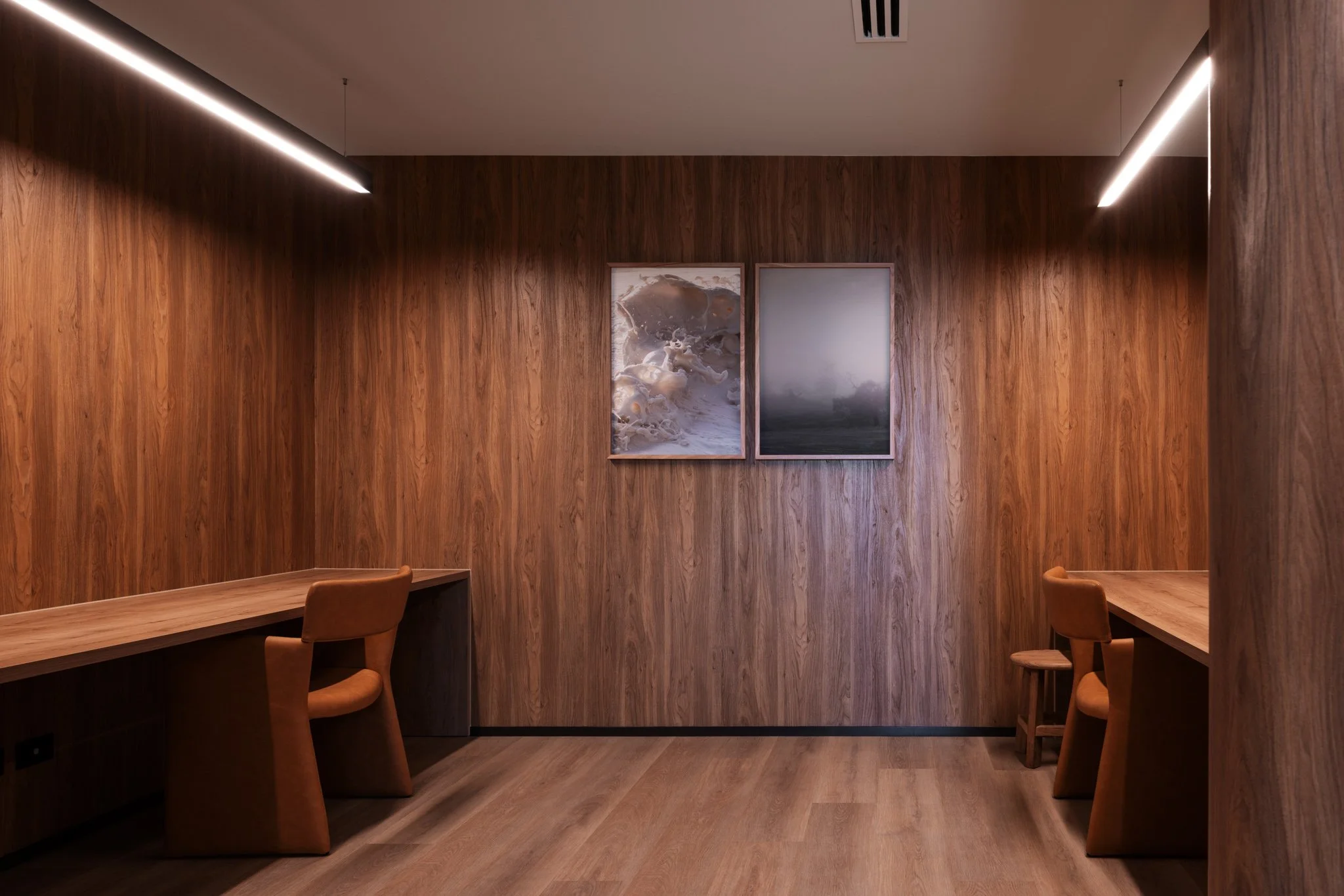 Commissioned Artworks by Francesca Owen and Caroline Cameron within 'Mason and Main', Merrylands, New South Wales. Development and Interior Design by Coronation Property Group. Architecture and Design by Woods Bagot. Photography by Trevor Mein.