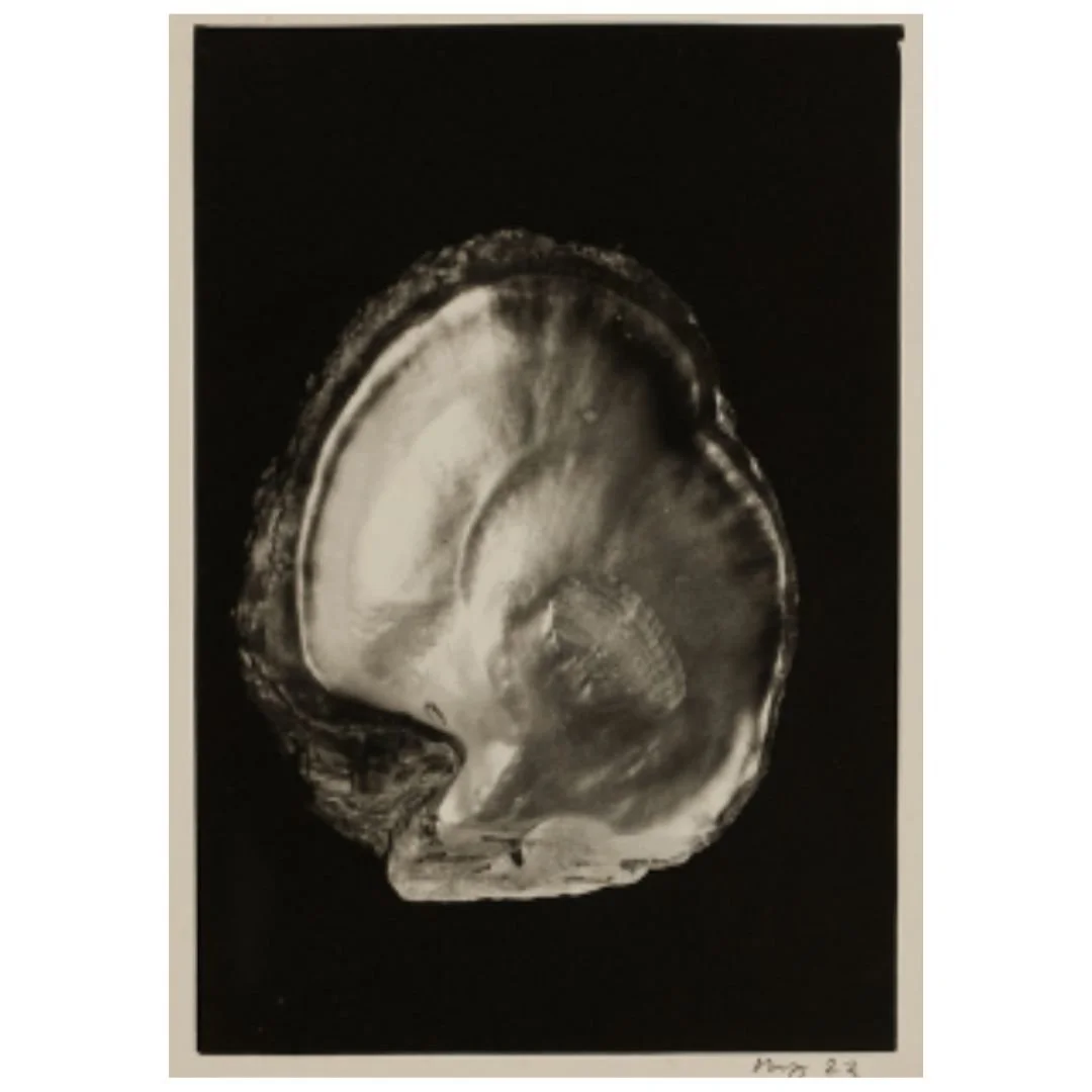 Ming Nomchong — Oyster (2023/2025) — Hand-Printed Silver Gelatin Print on Fibre-Based Baryta Paper — 38 cm x 33 cm (Framed Size)