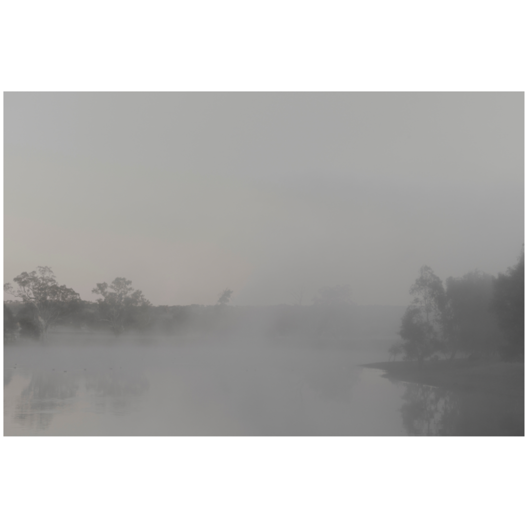 Caroline Cameron — Adelaide Hills, Jutland 08 21 08 am — Limited Edition Print