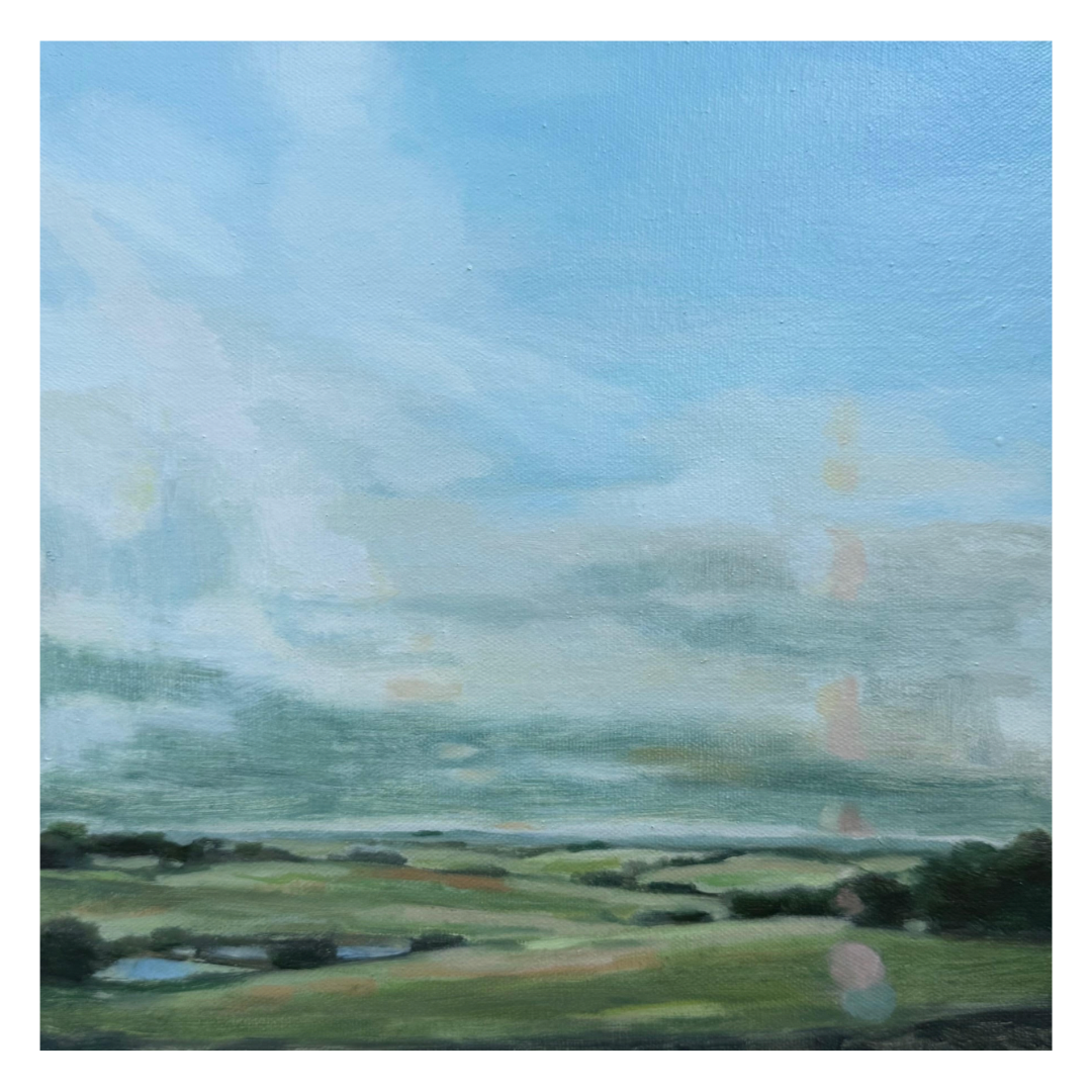 Michele Burder — C152 Dean’s Marsh, Winter.png
