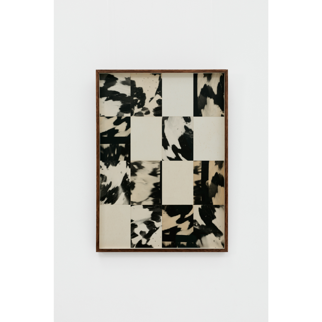 Ming Nomchong — In A Flurry.png