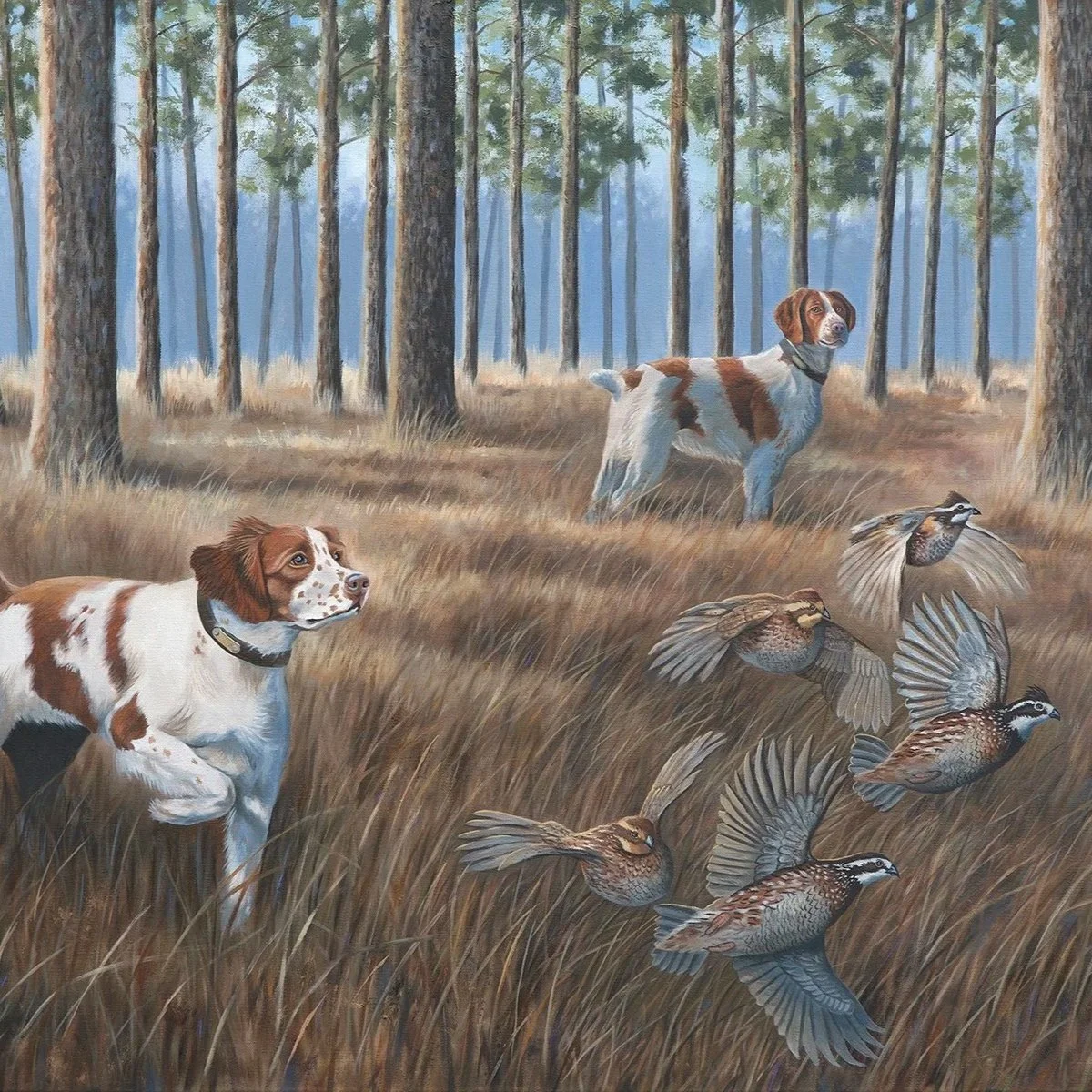 quailhunt
