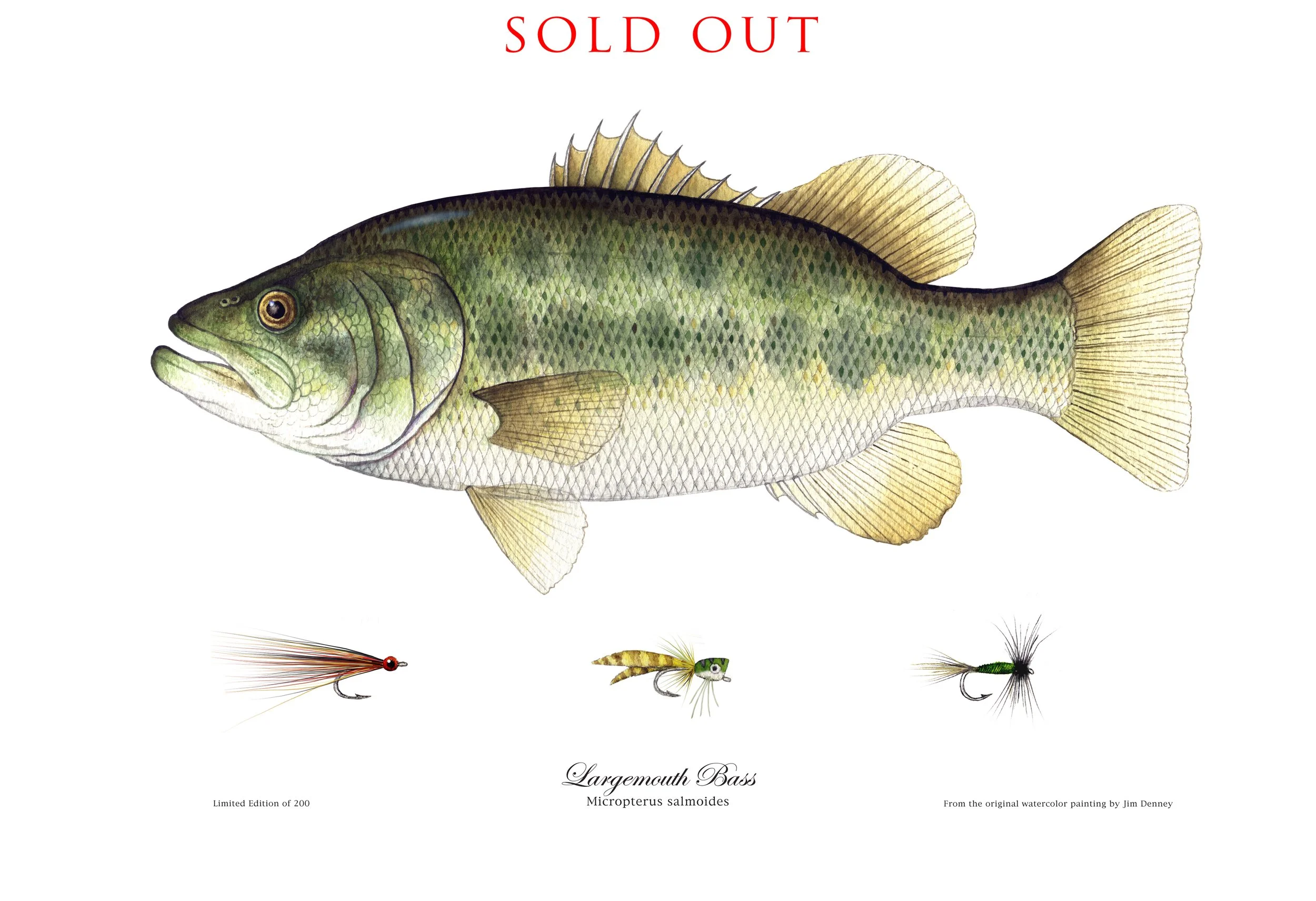 Giclee LMBass SOLD OUT2.jpg