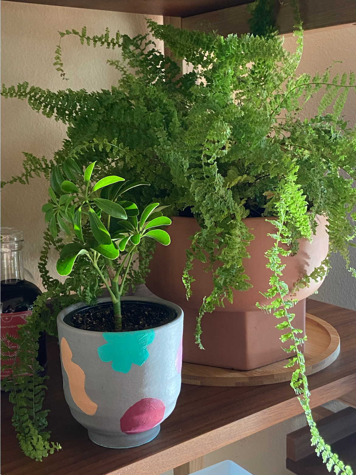 Screen Shot 2021-03-11 at 9.06.25 PM.png