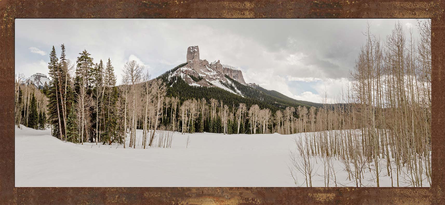 4x8chimnetsnow.jpg