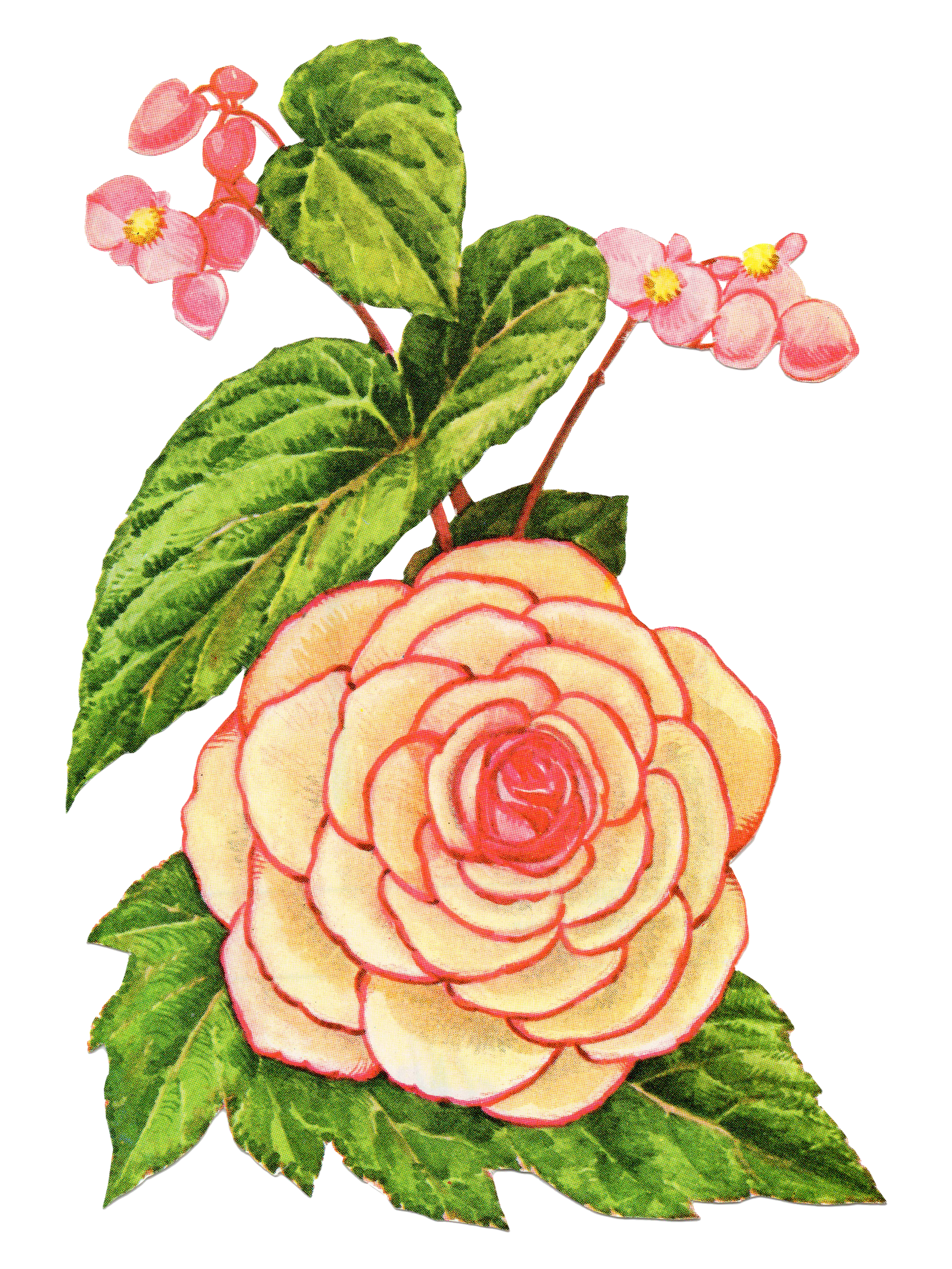 pink flower 3.png