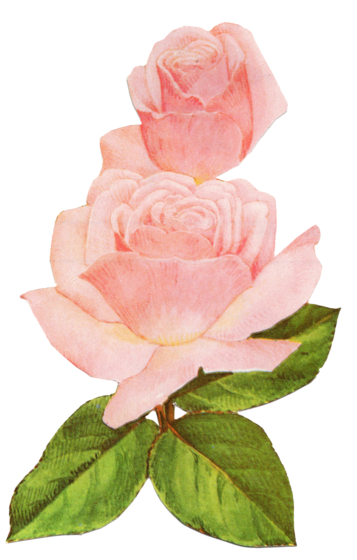 pink flower 7.png