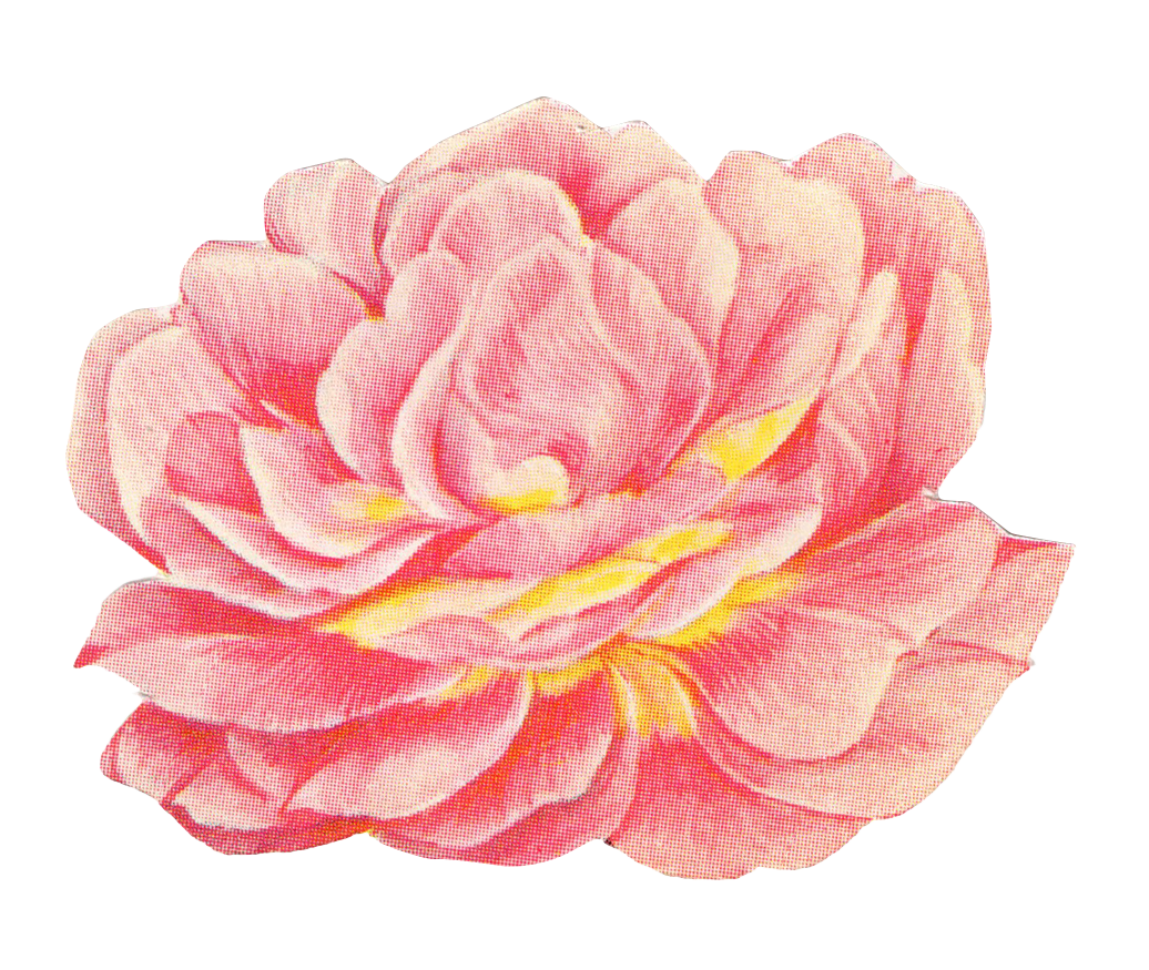 pink flower 6.png