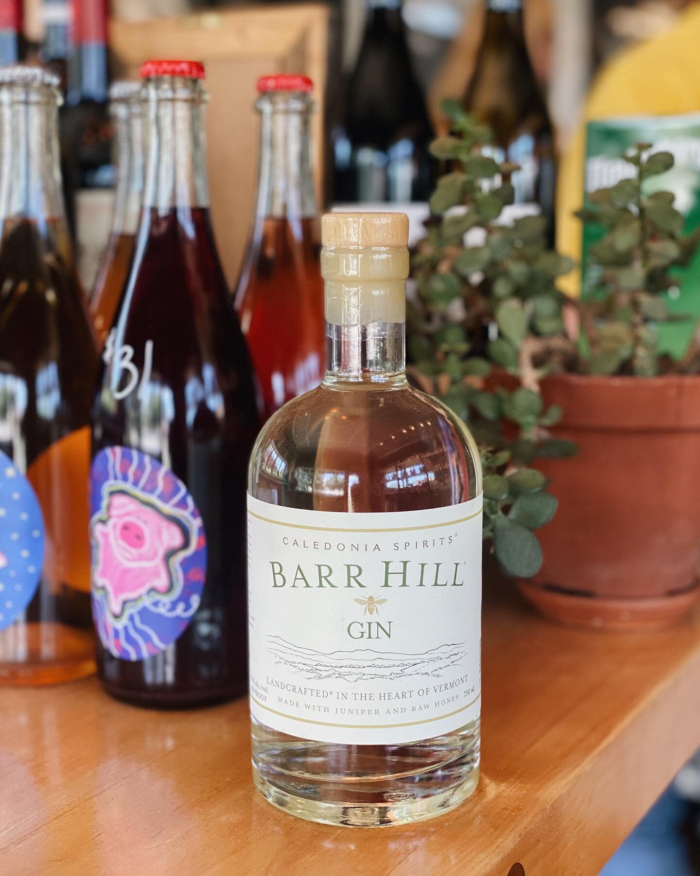 🚨 new gin alert! 🚨 made with juniper and raw honey 🍯