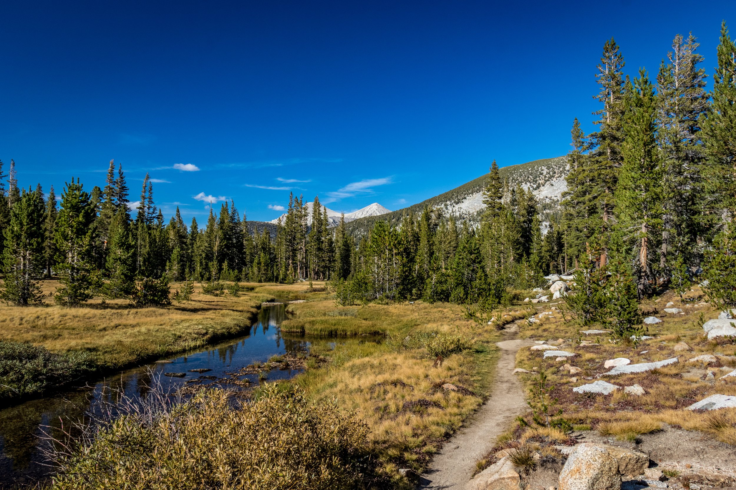 2019-09-20 --- 74.jpg