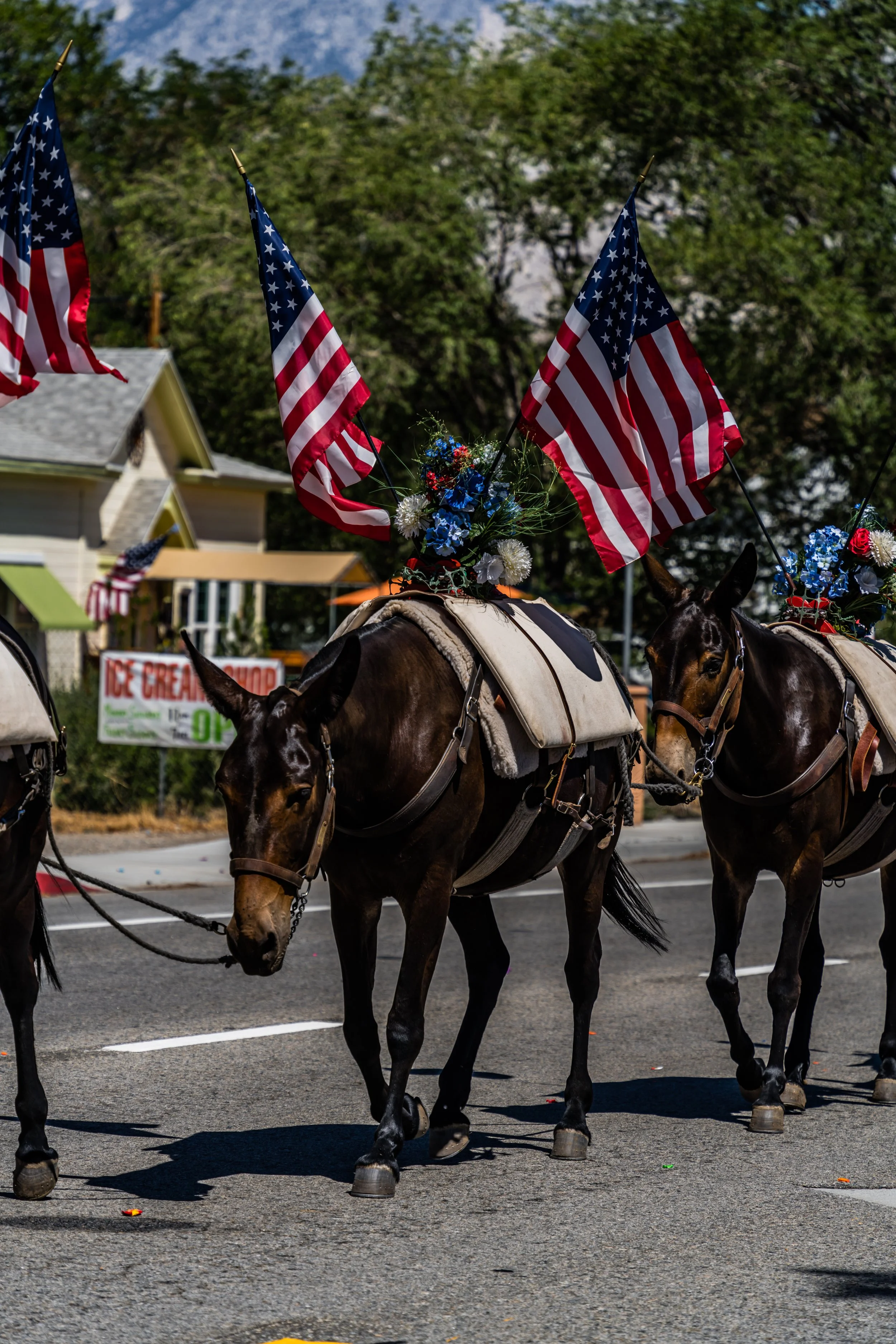 2021-07-04 --- 96.jpg