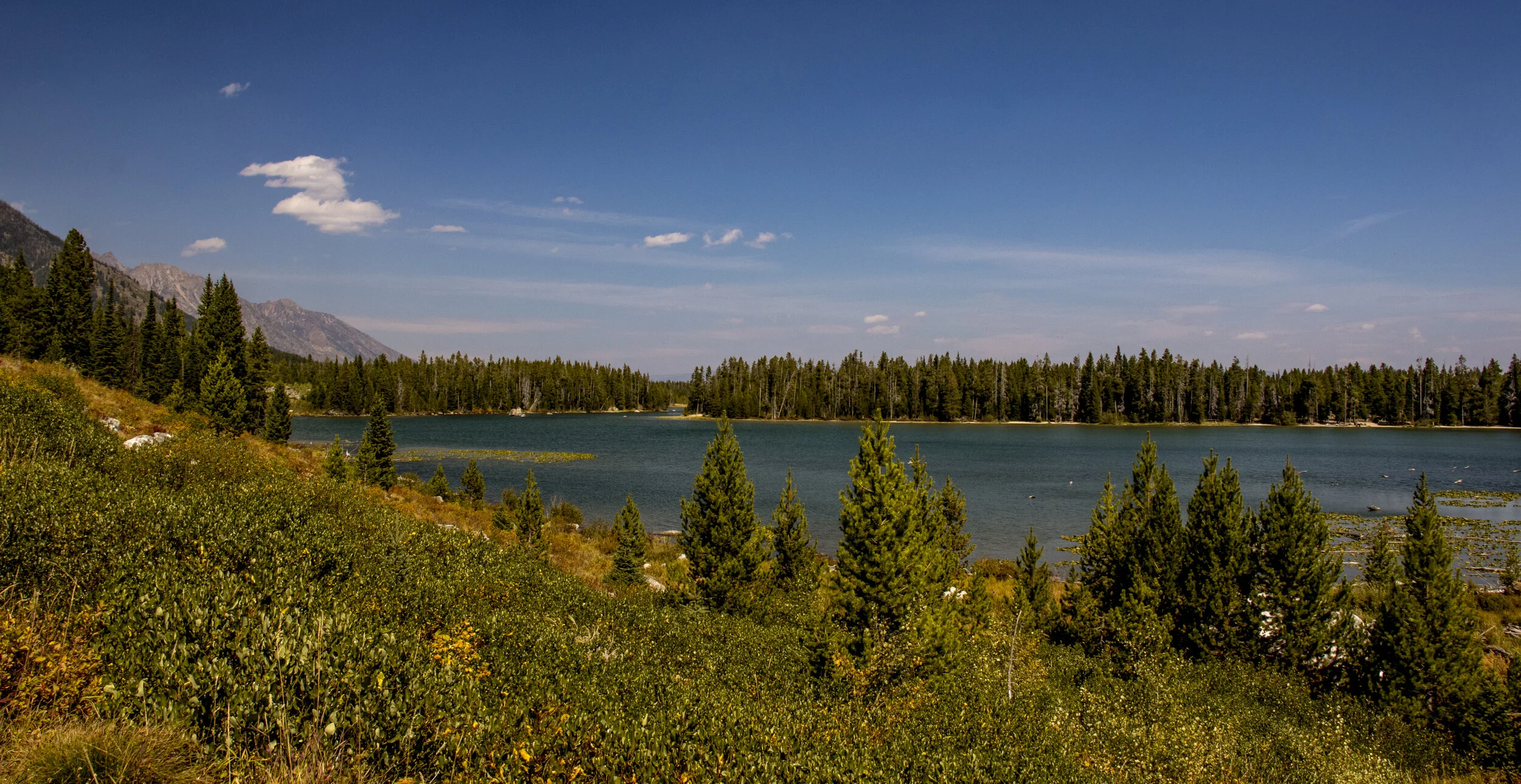 TetonsDay2-048.JPG