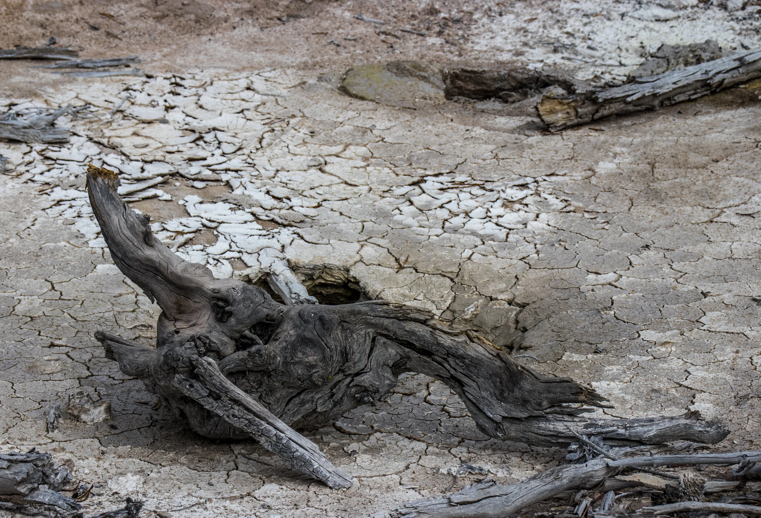 YellowstoneDay5-151.jpg