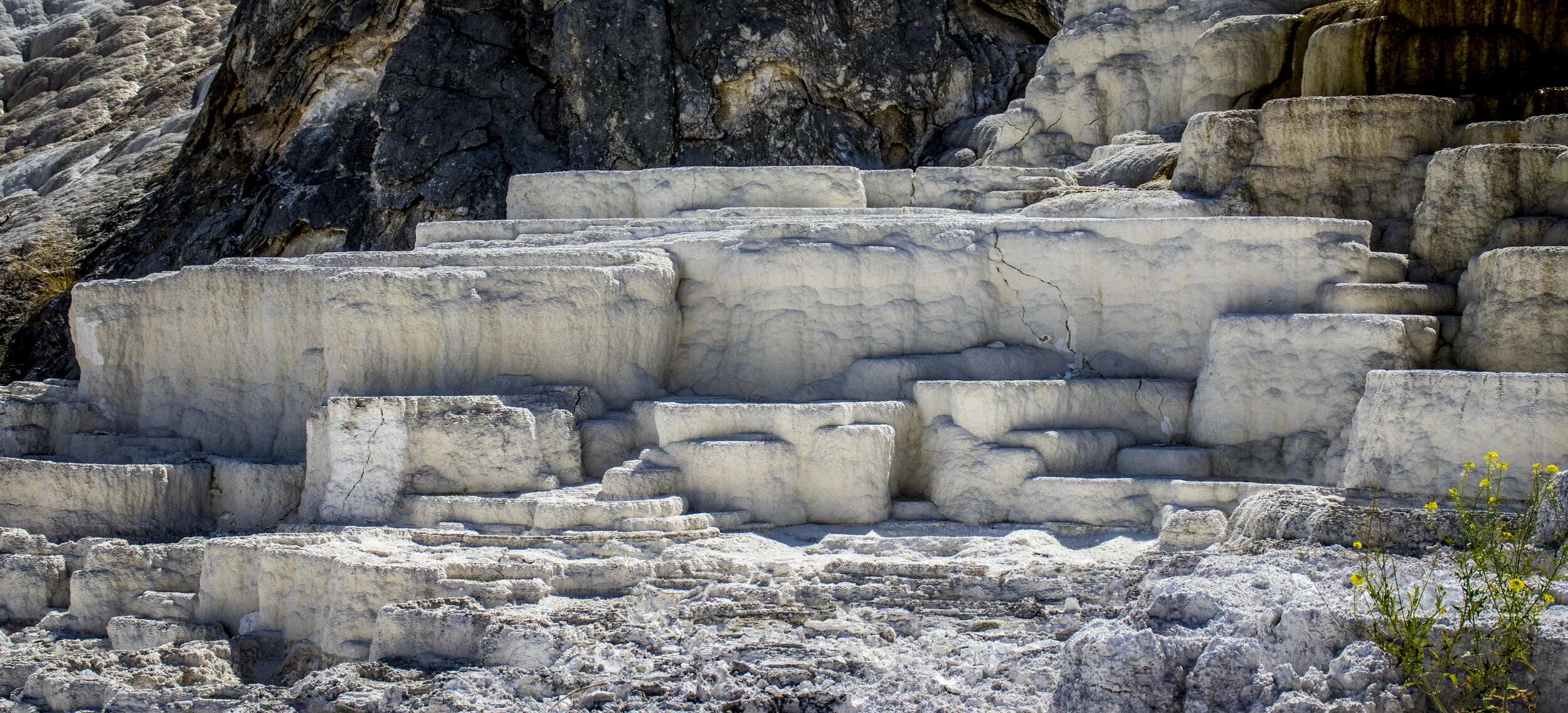 YellowstoneDay7-116.jpg