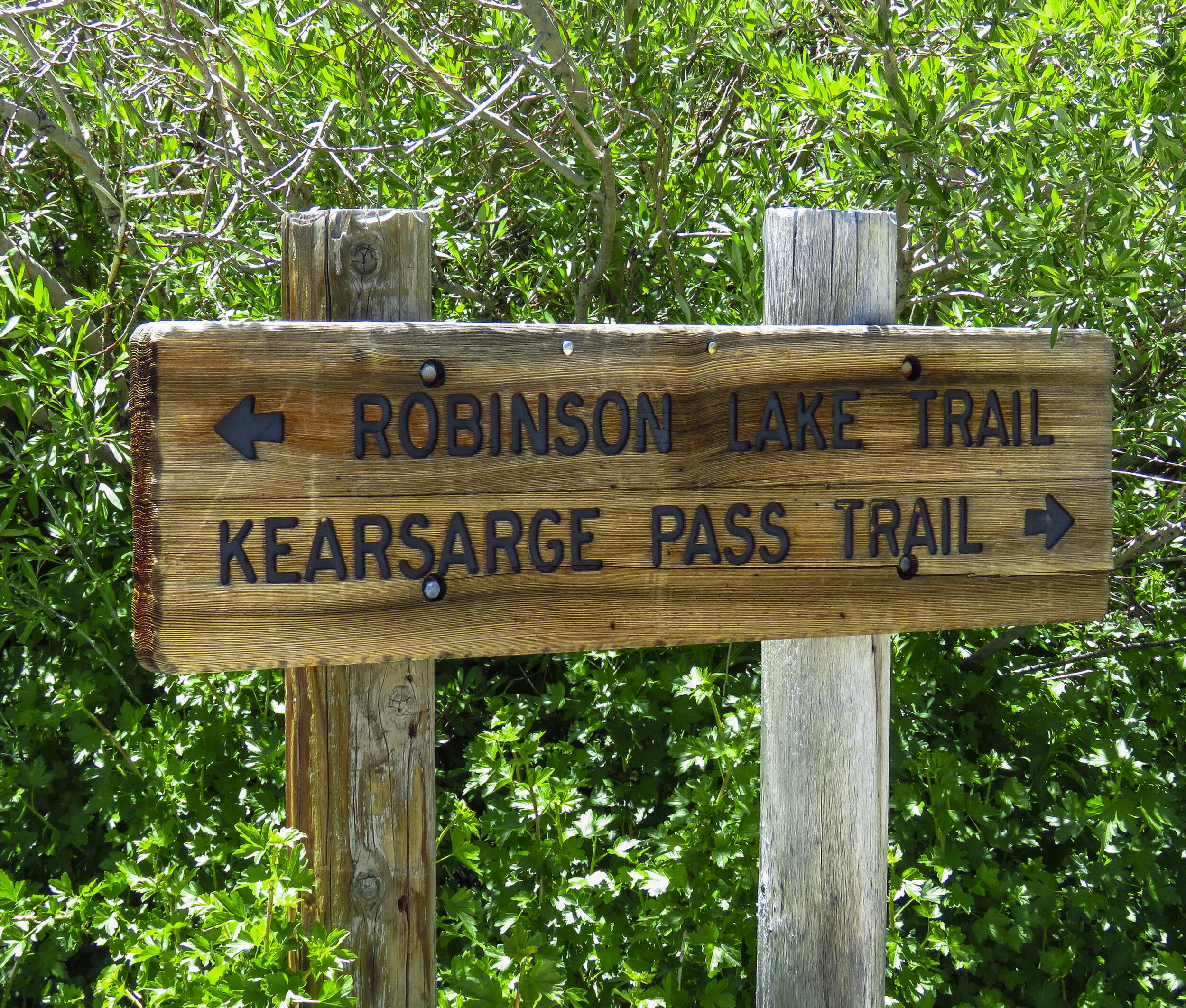 Kearsarge - 2018 June - 001.jpg