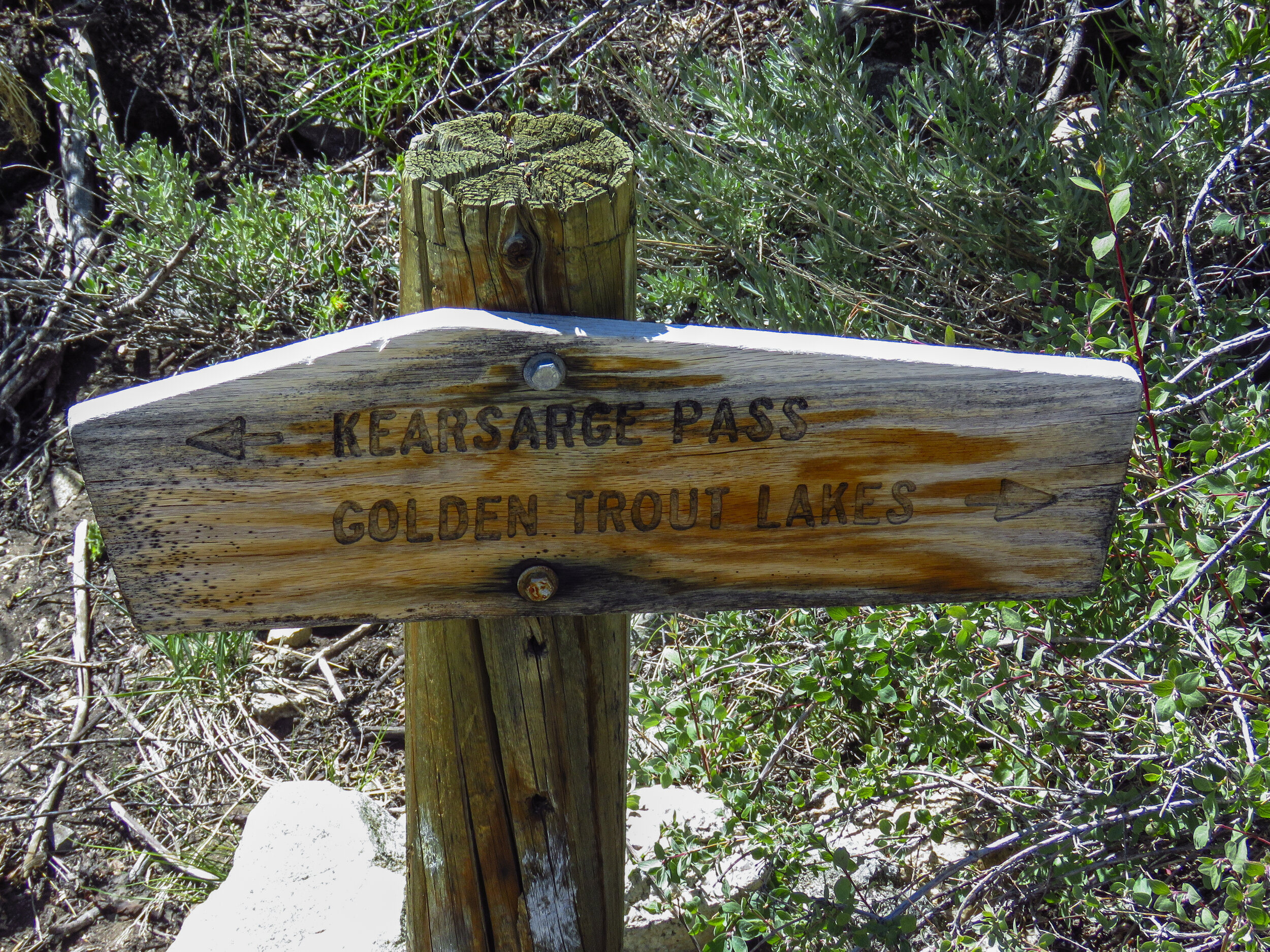 Kearsarge - 2018 June - 002.jpg