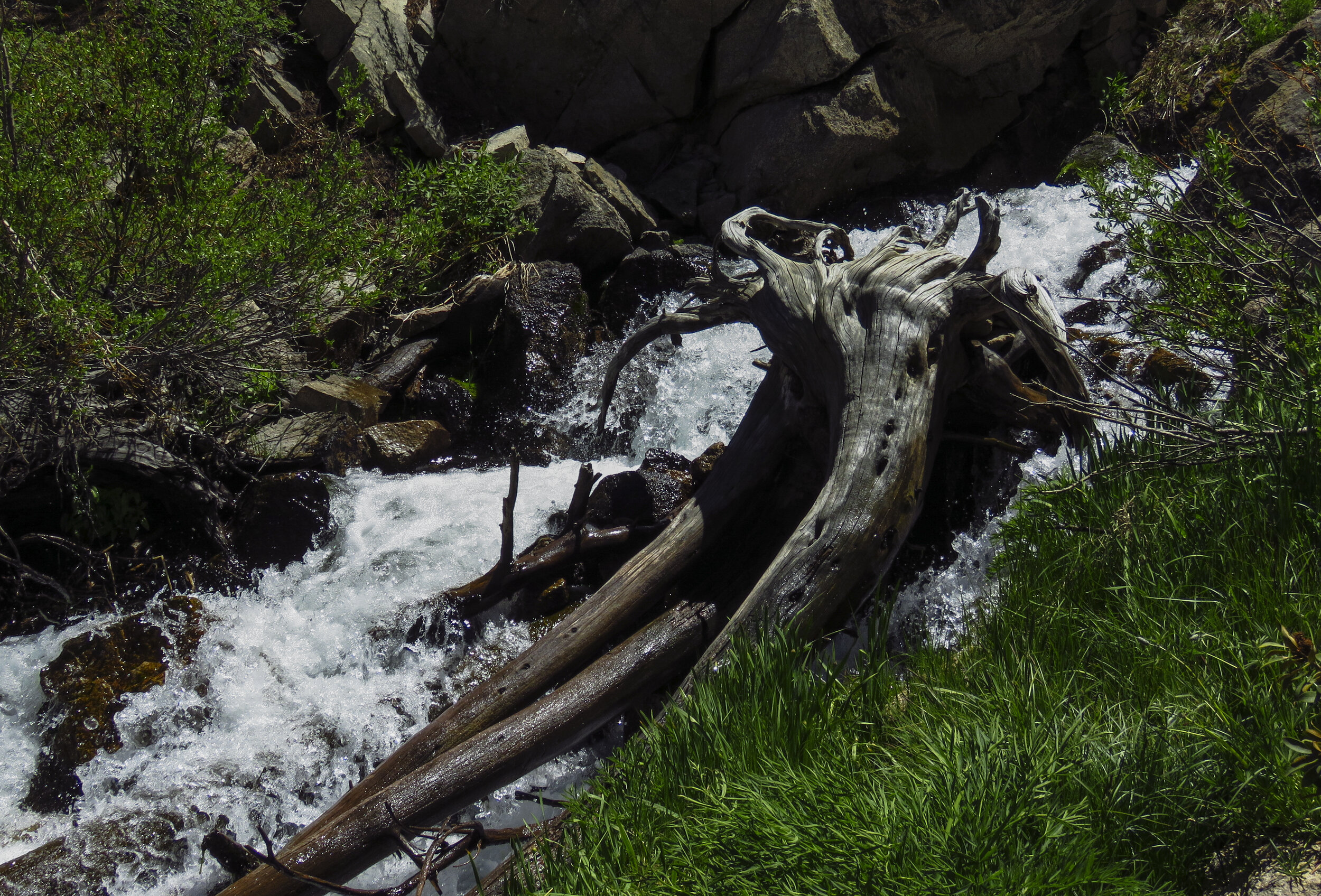 Kearsarge - 2018 June - 016.jpg