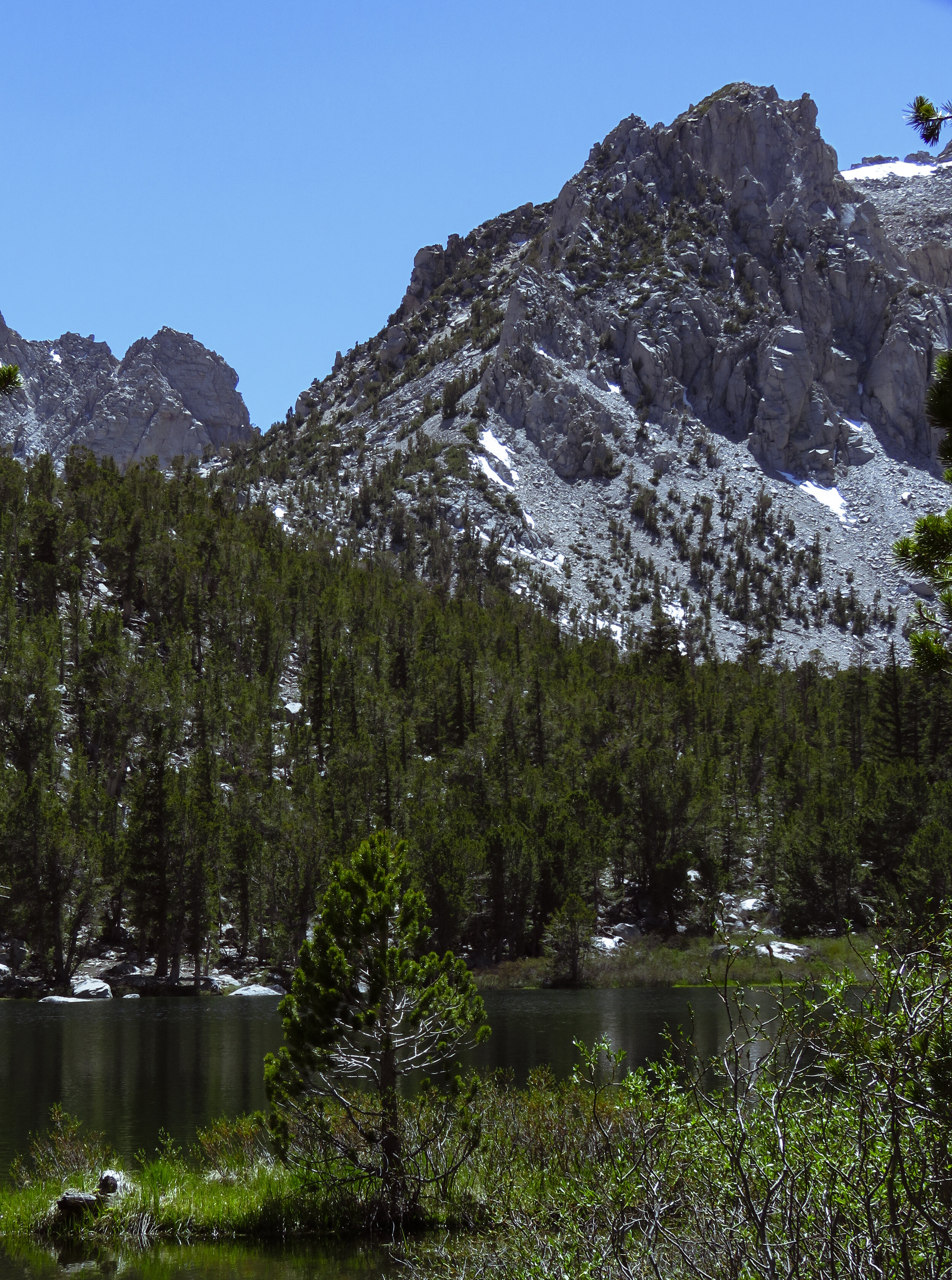 Kearsarge - 2018 June - 021.jpg