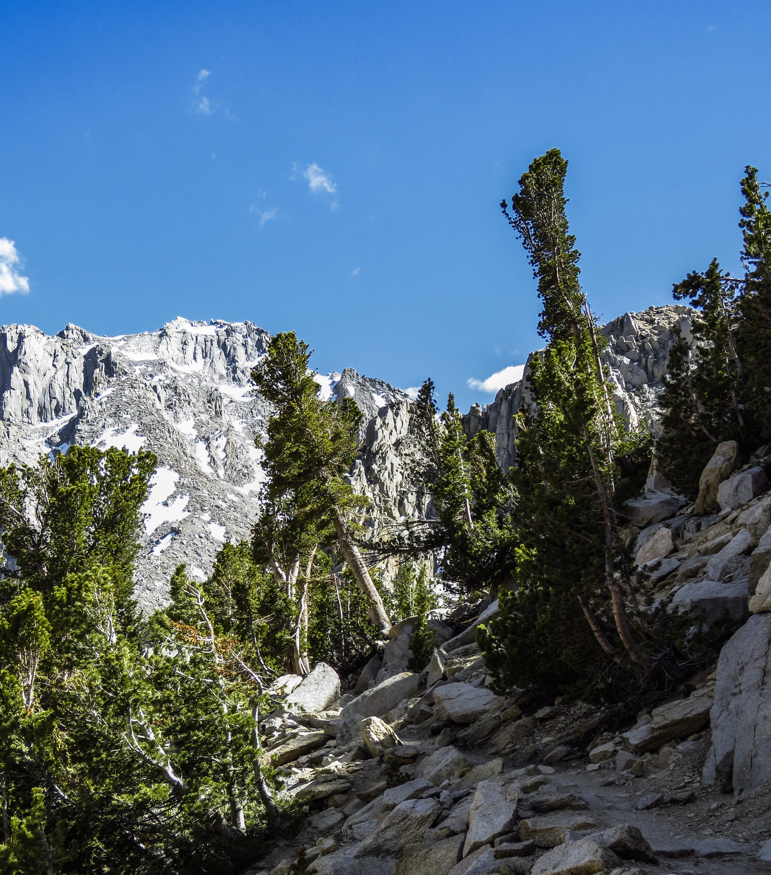 Kearsarge - 2018 June - 027.jpg