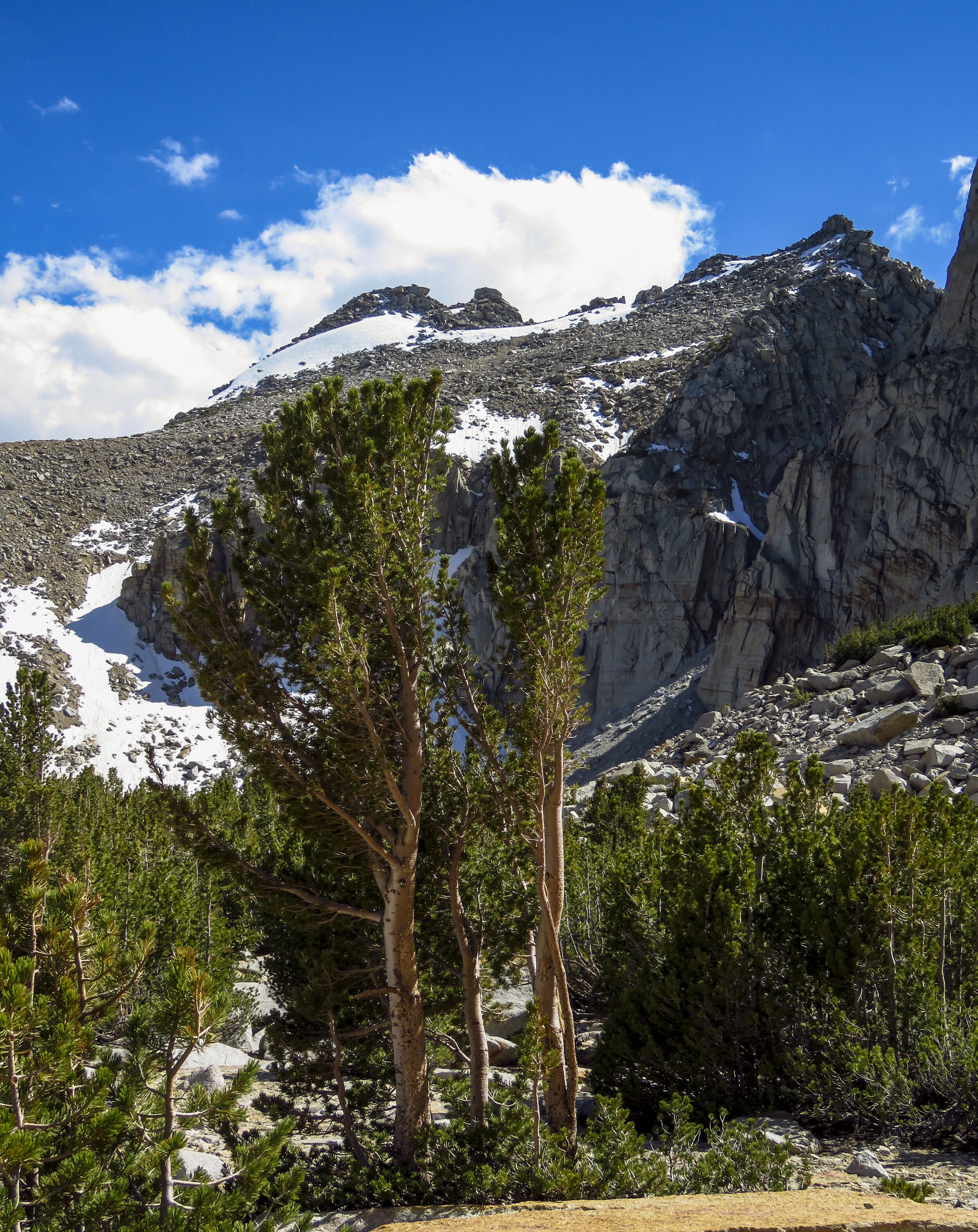 Kearsarge - 2018 June - 031.jpg