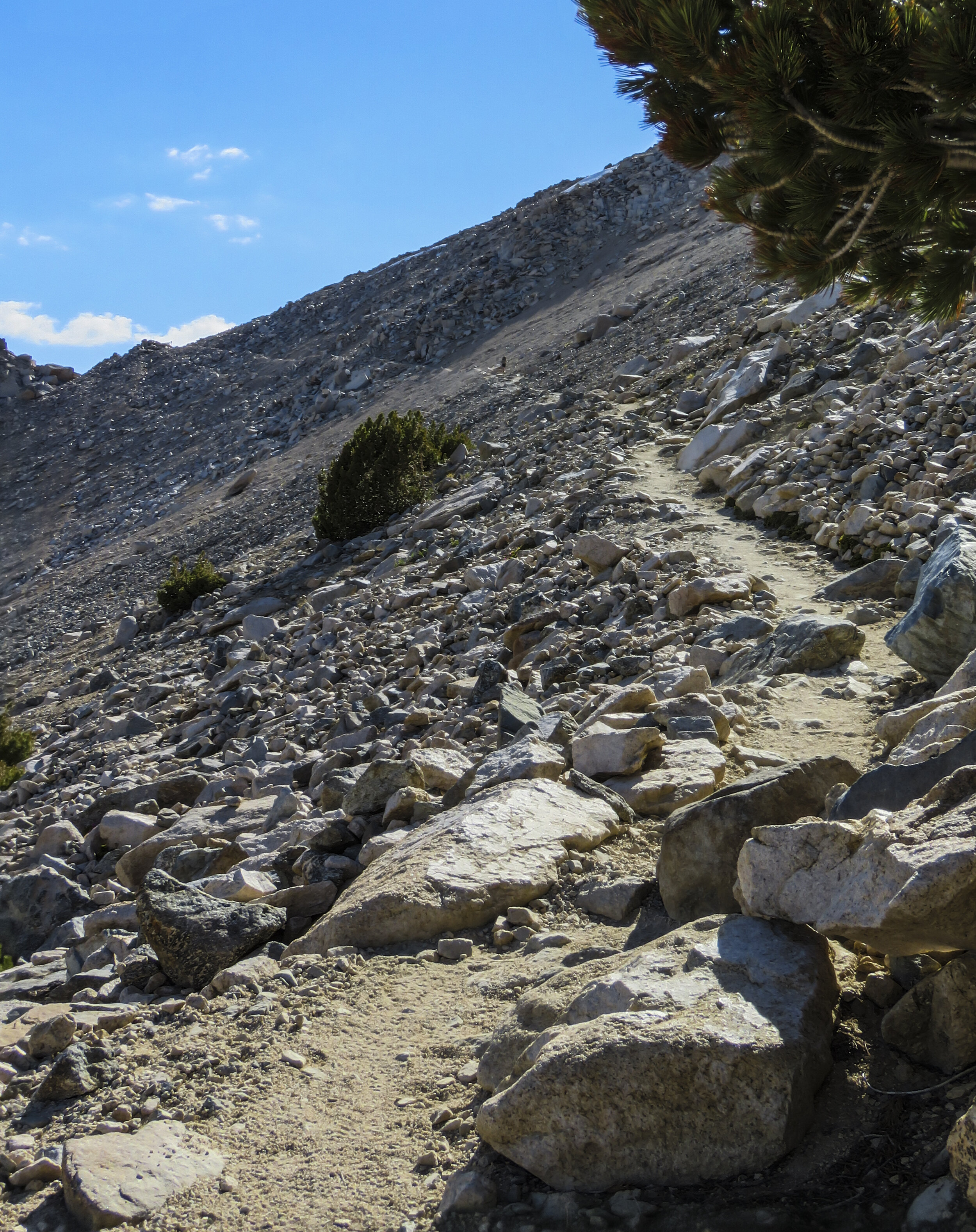 Kearsarge - 2018 June - 046.jpg