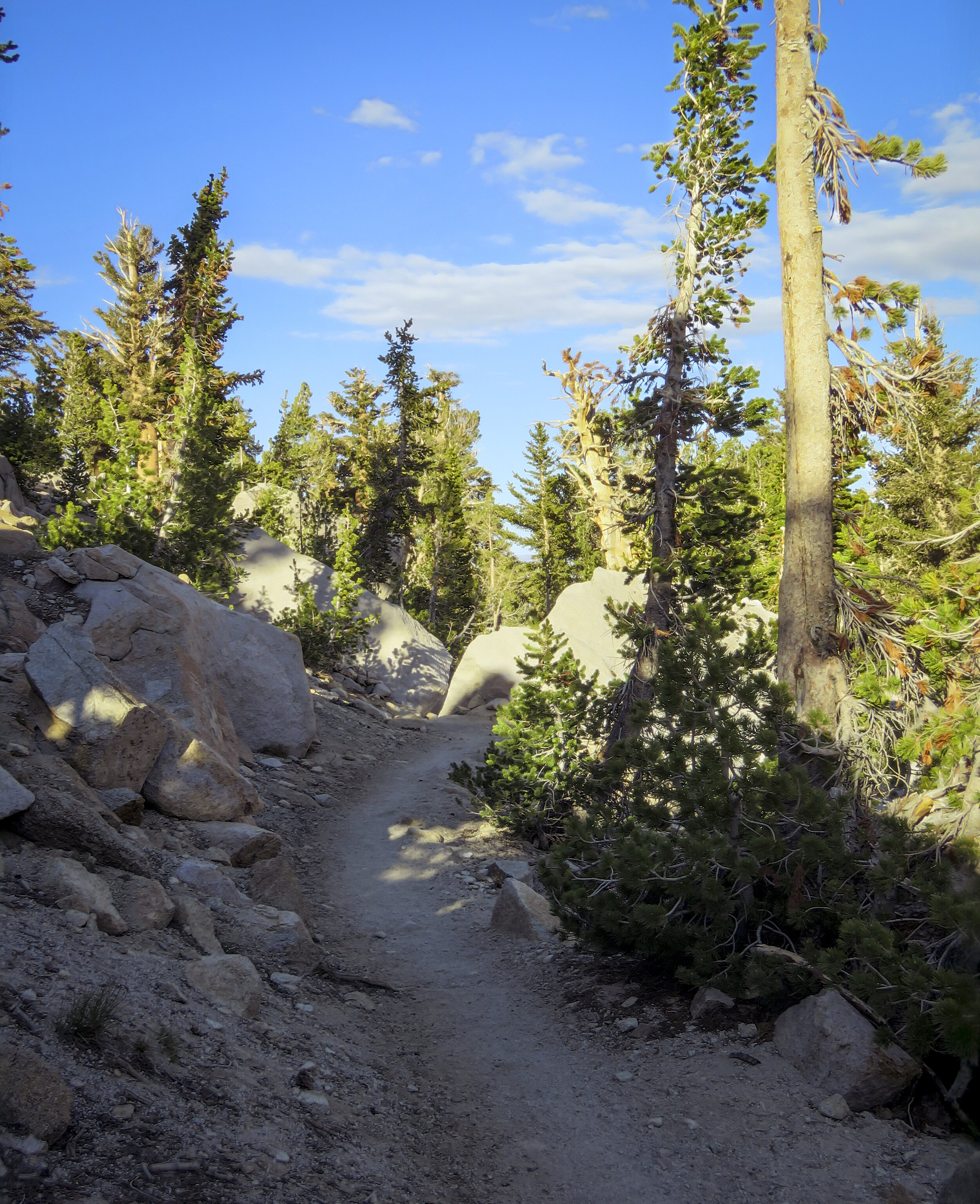 Kearsarge - 2018 June - 053.jpg