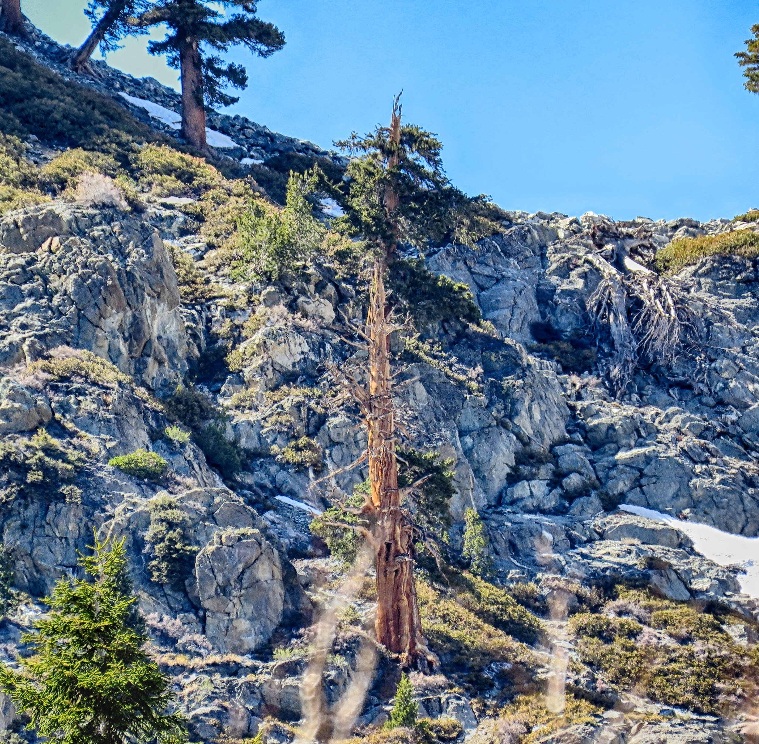 IMG_2129-HDR.jpg