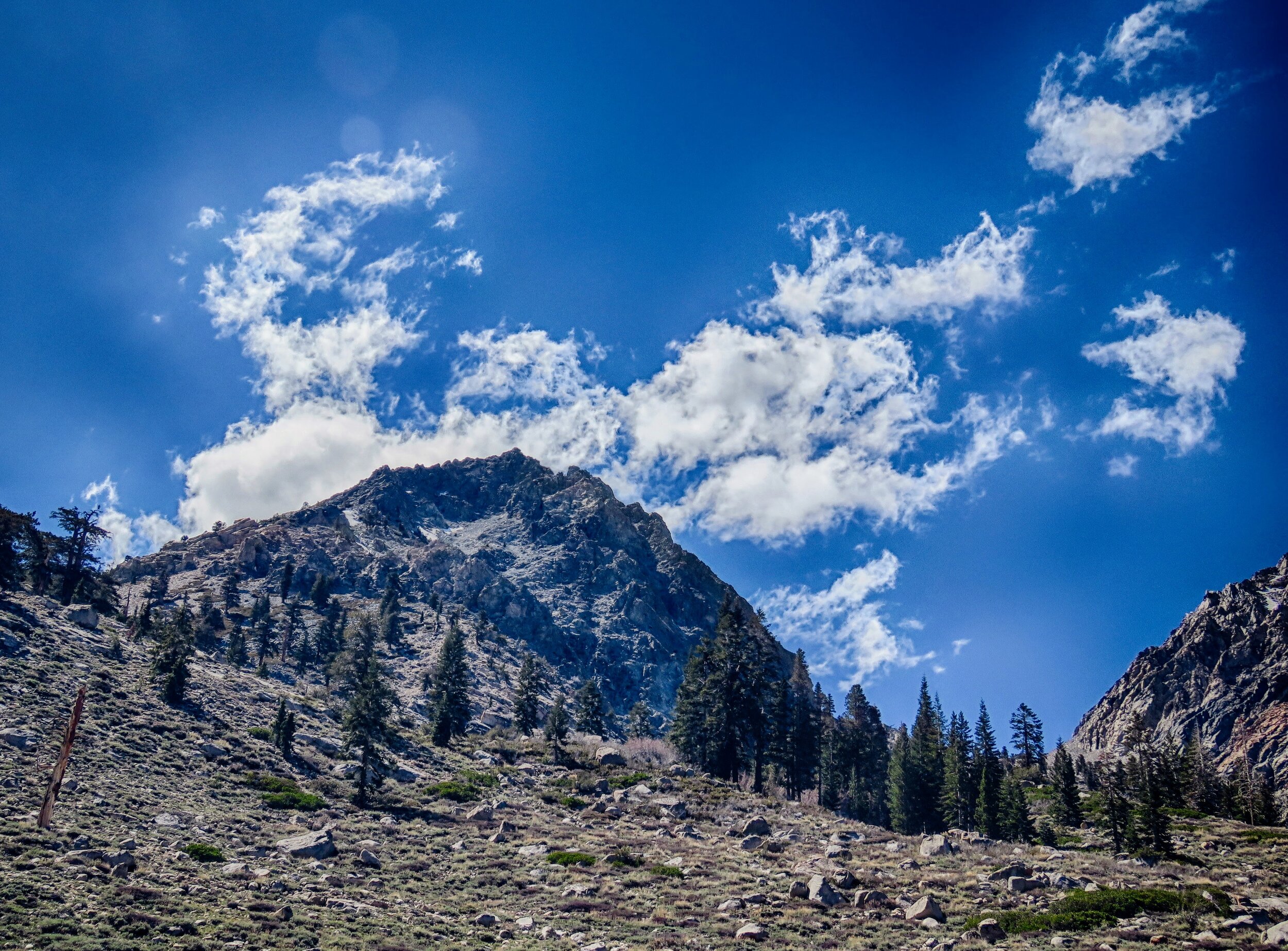 IMG_2111-HDR.jpg