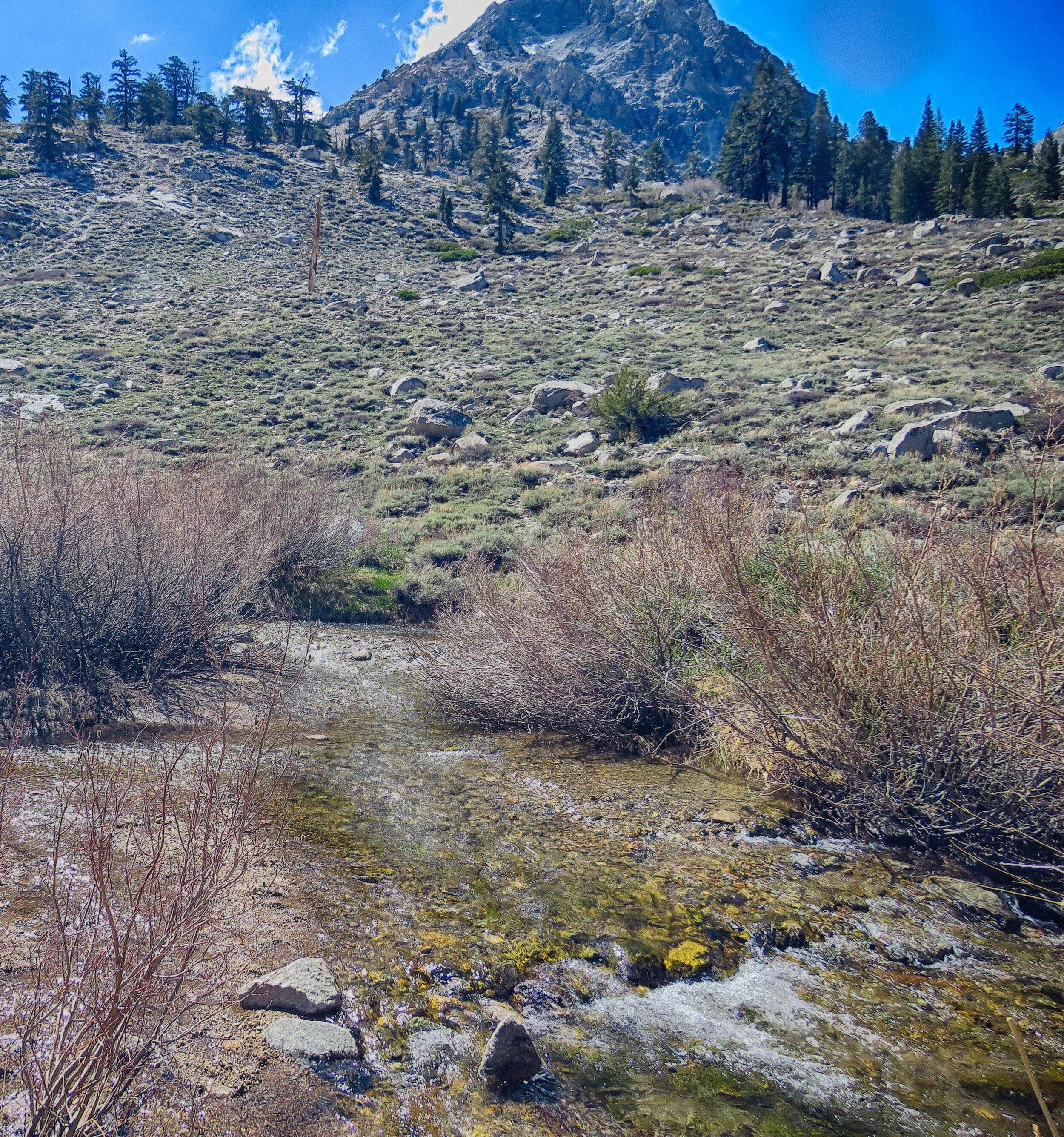 IMG_2099-HDR.jpg