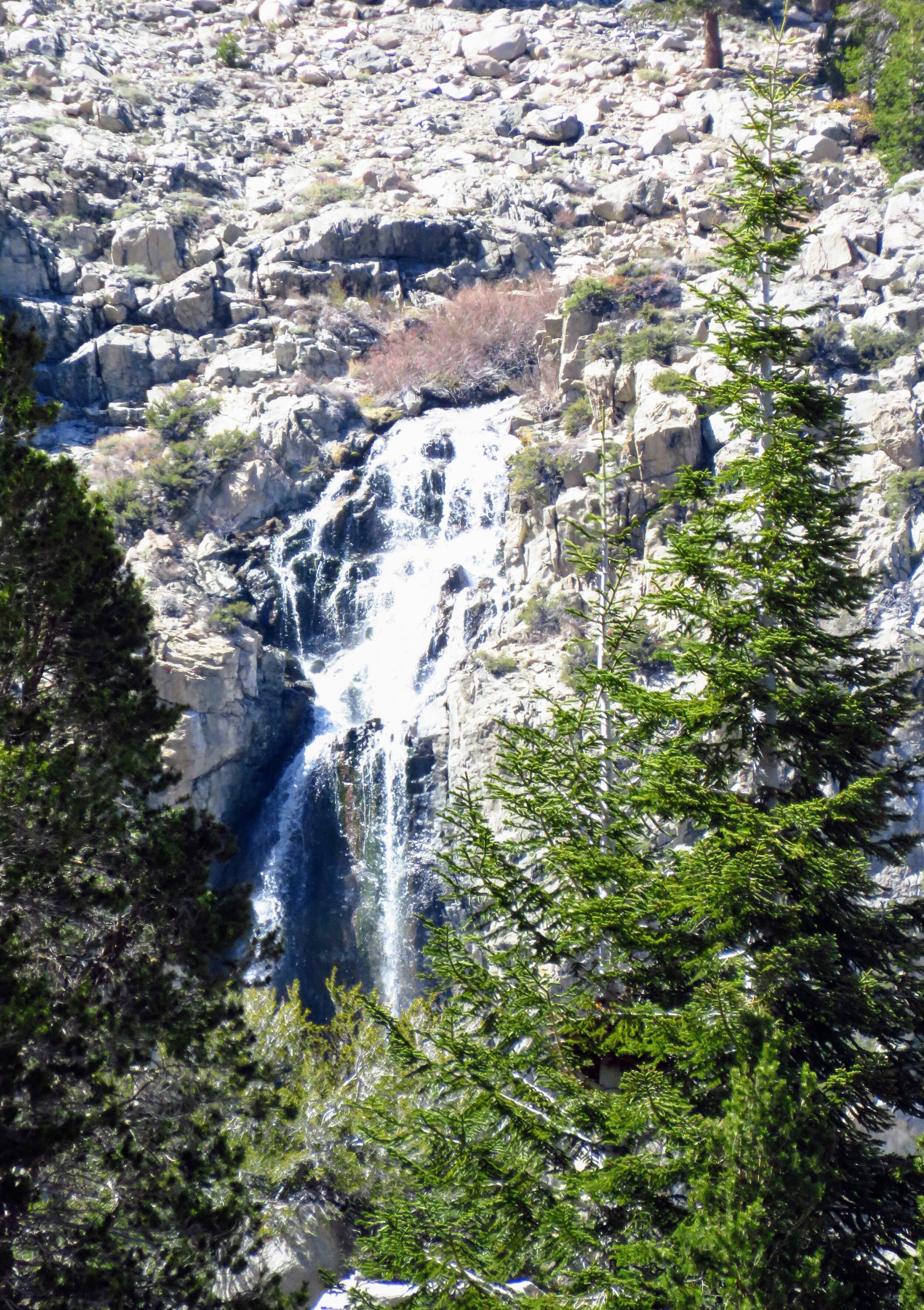 IMG_2171.jpg