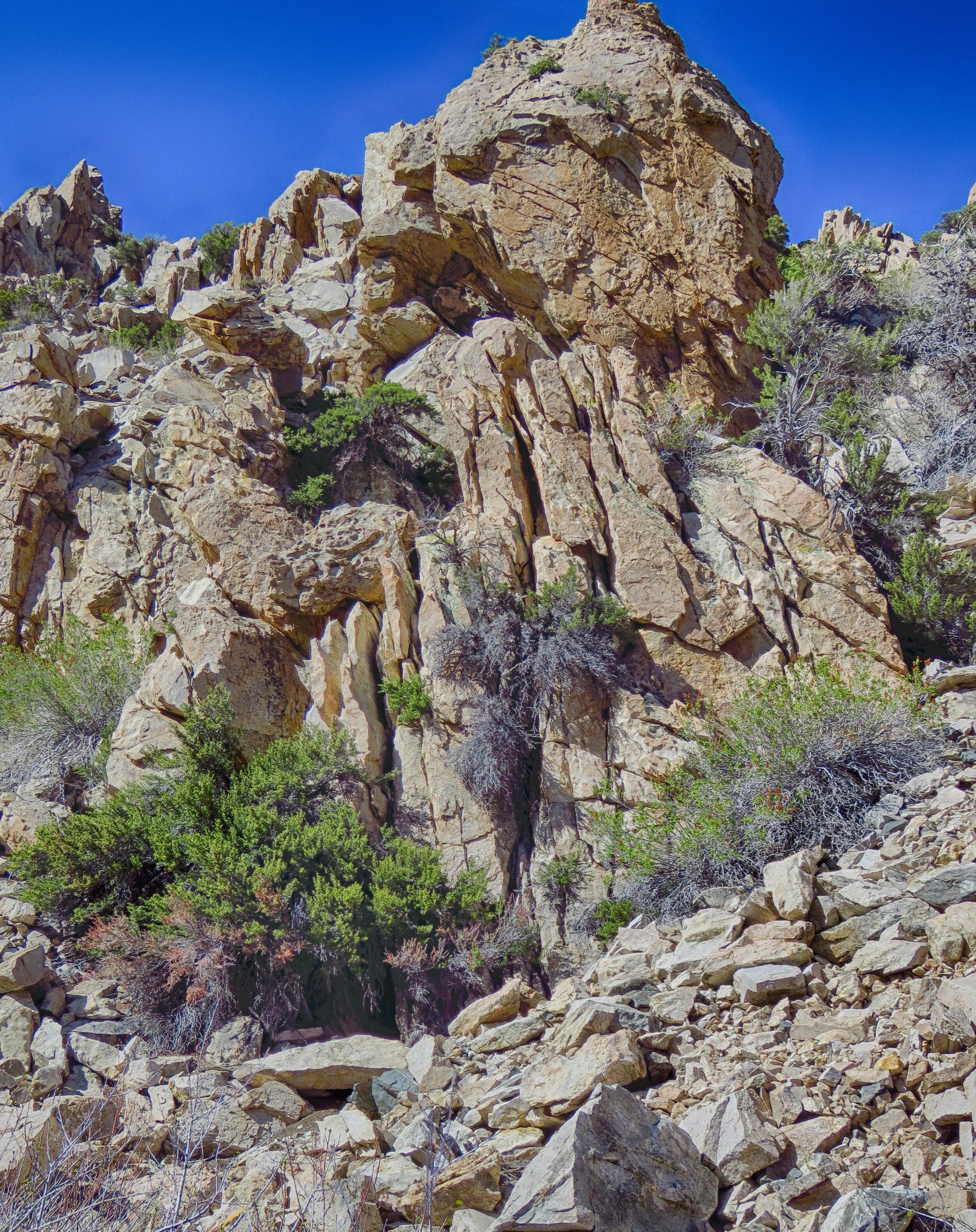 IMG_2355-HDR.jpg