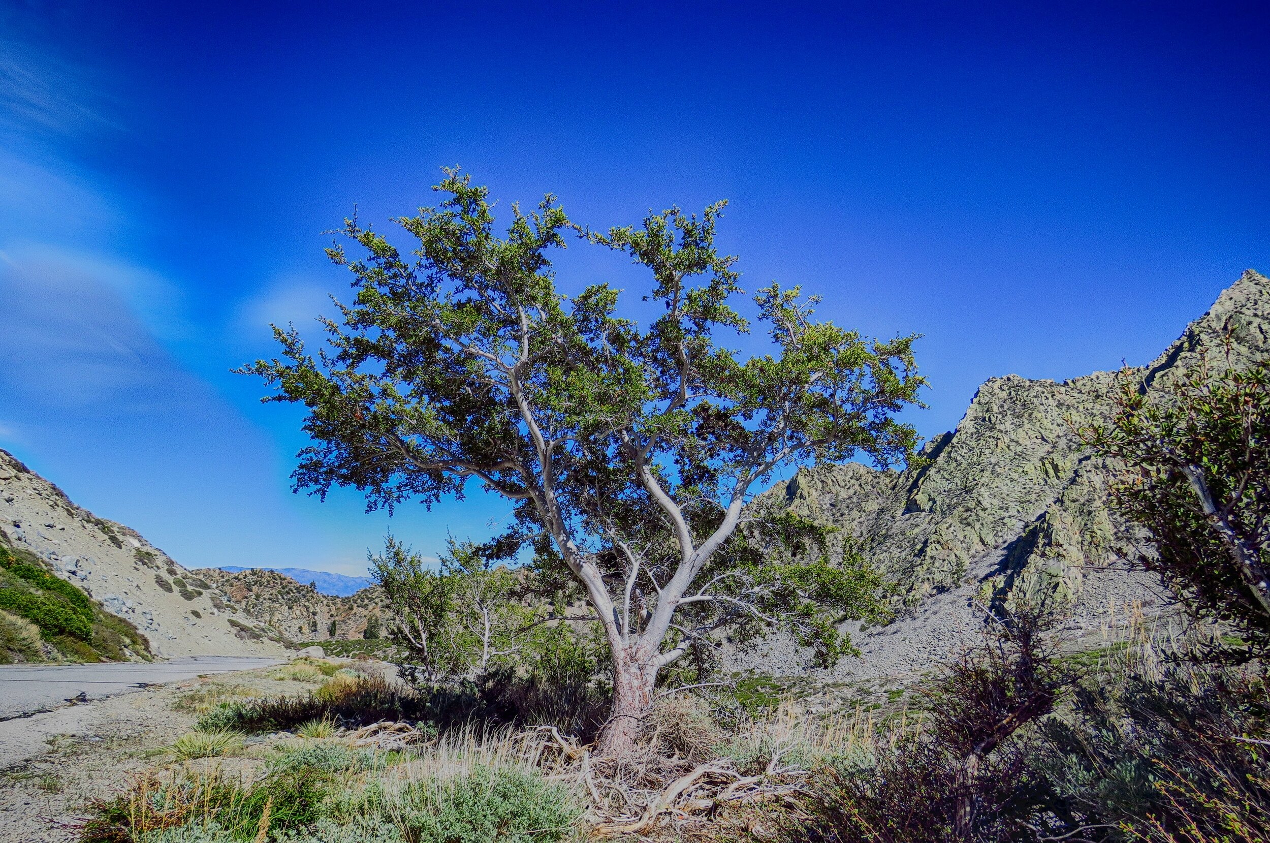 IMG_2415-HDR.jpg
