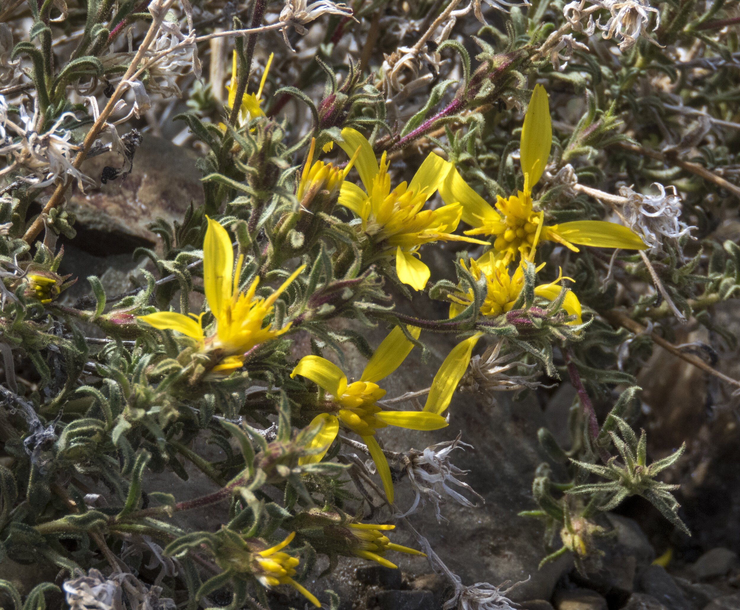 Photography Trip - Day 4 - 010.jpg