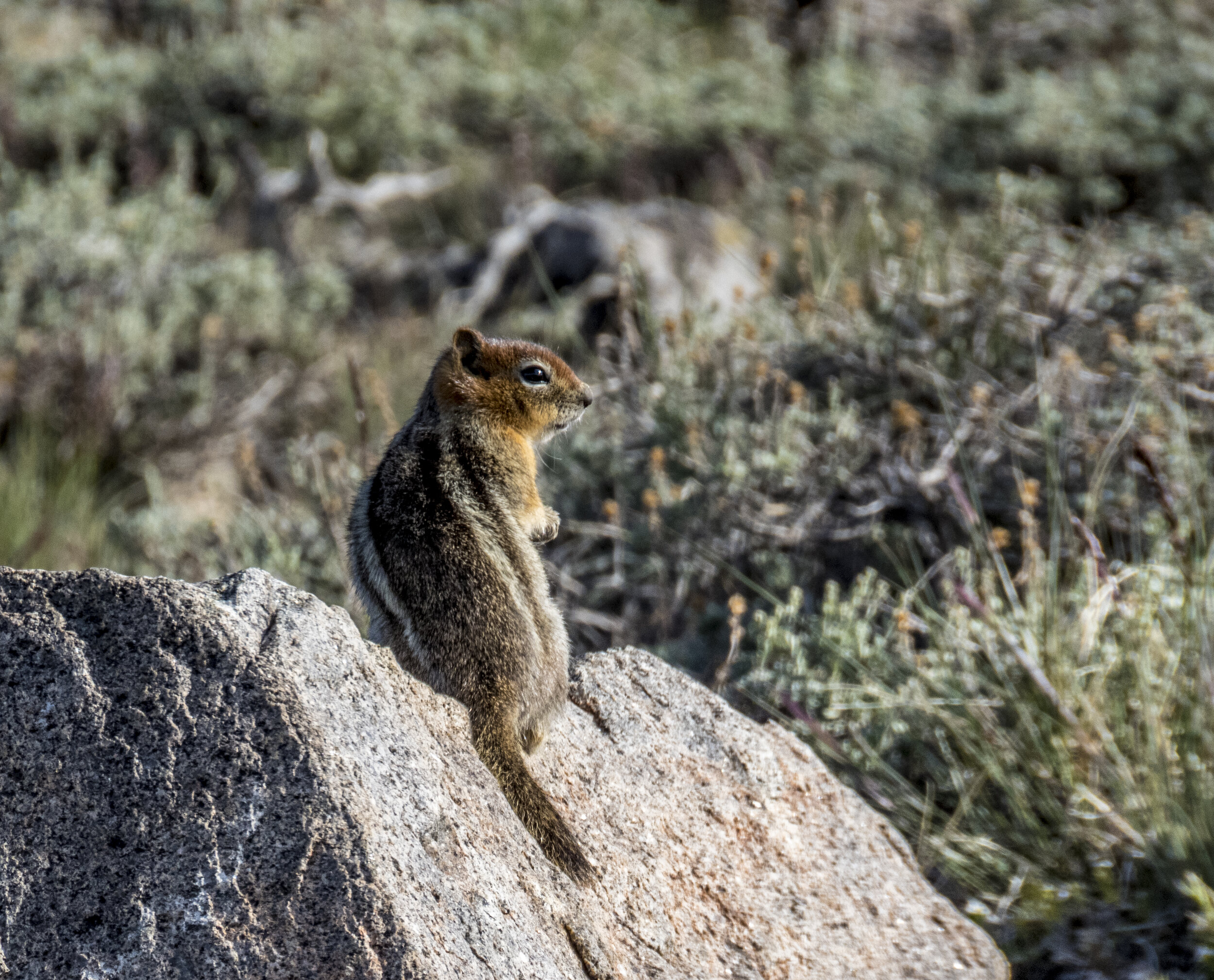 Photography Trip - Day 4 - 007.jpg