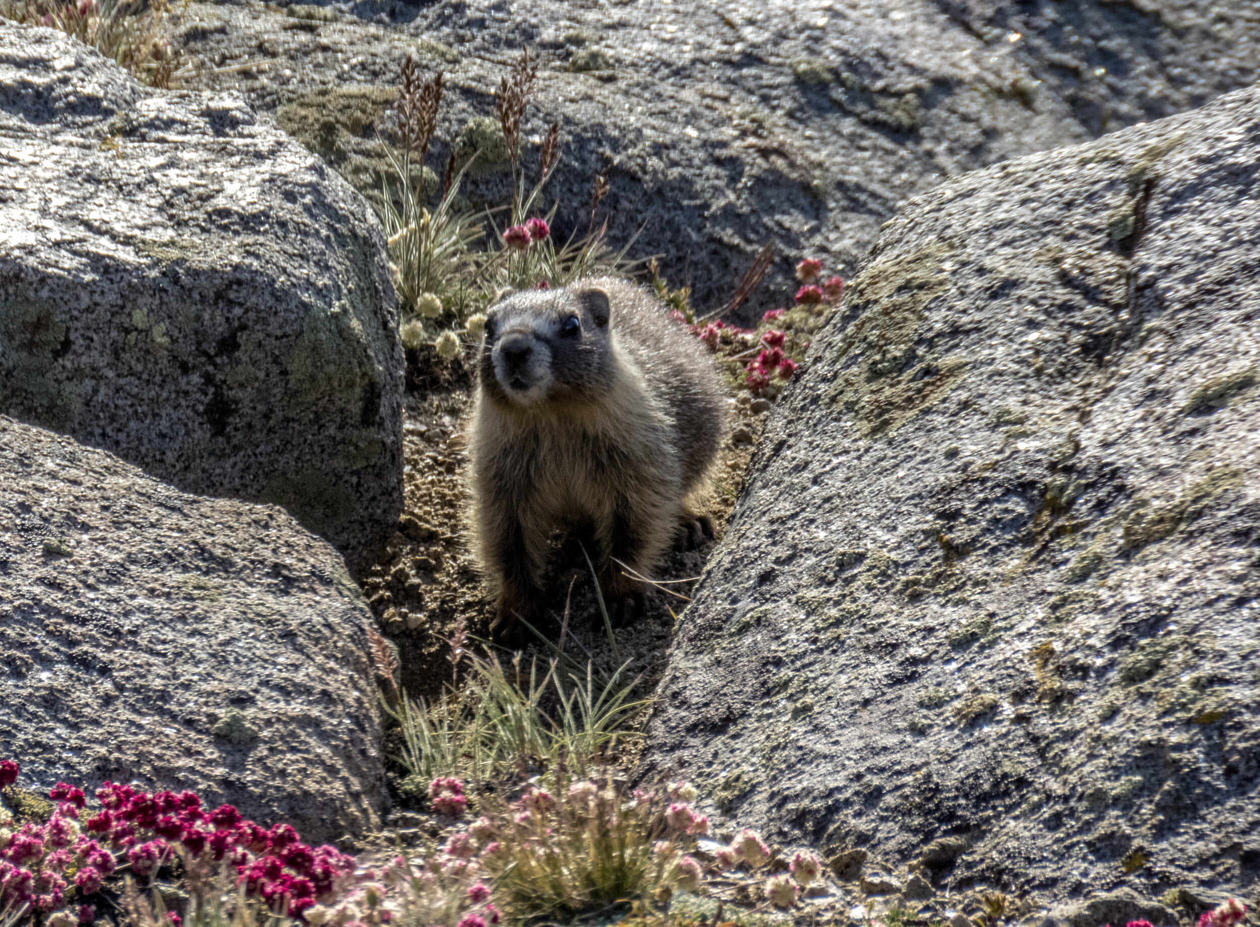 Photography Trip - Day 4 - 014.jpg