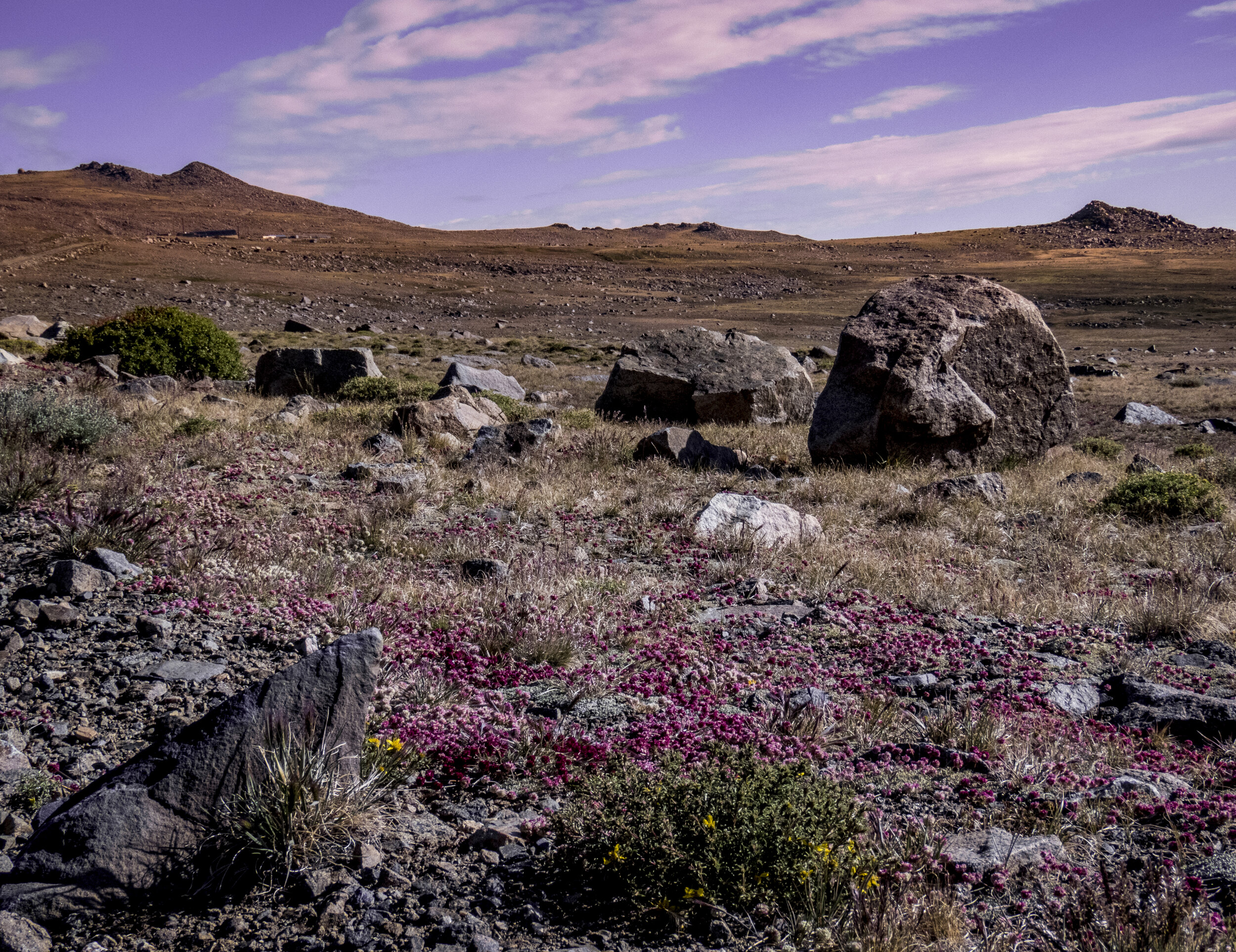 Photography Trip - Day 4 - 013.jpg